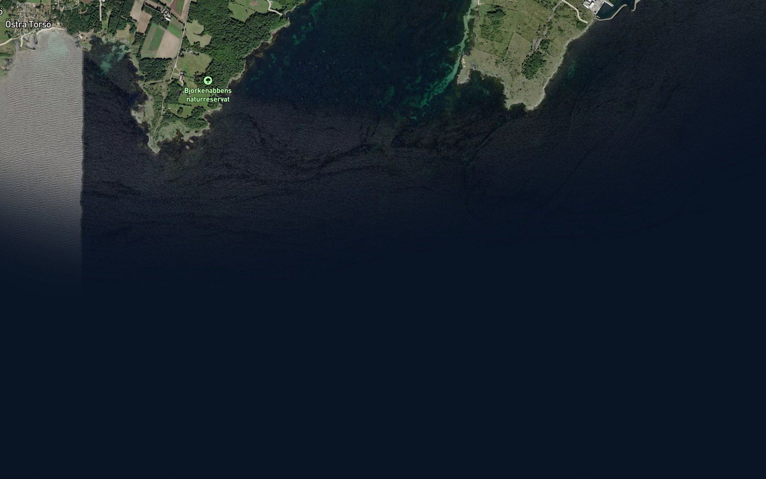 Krakrevet