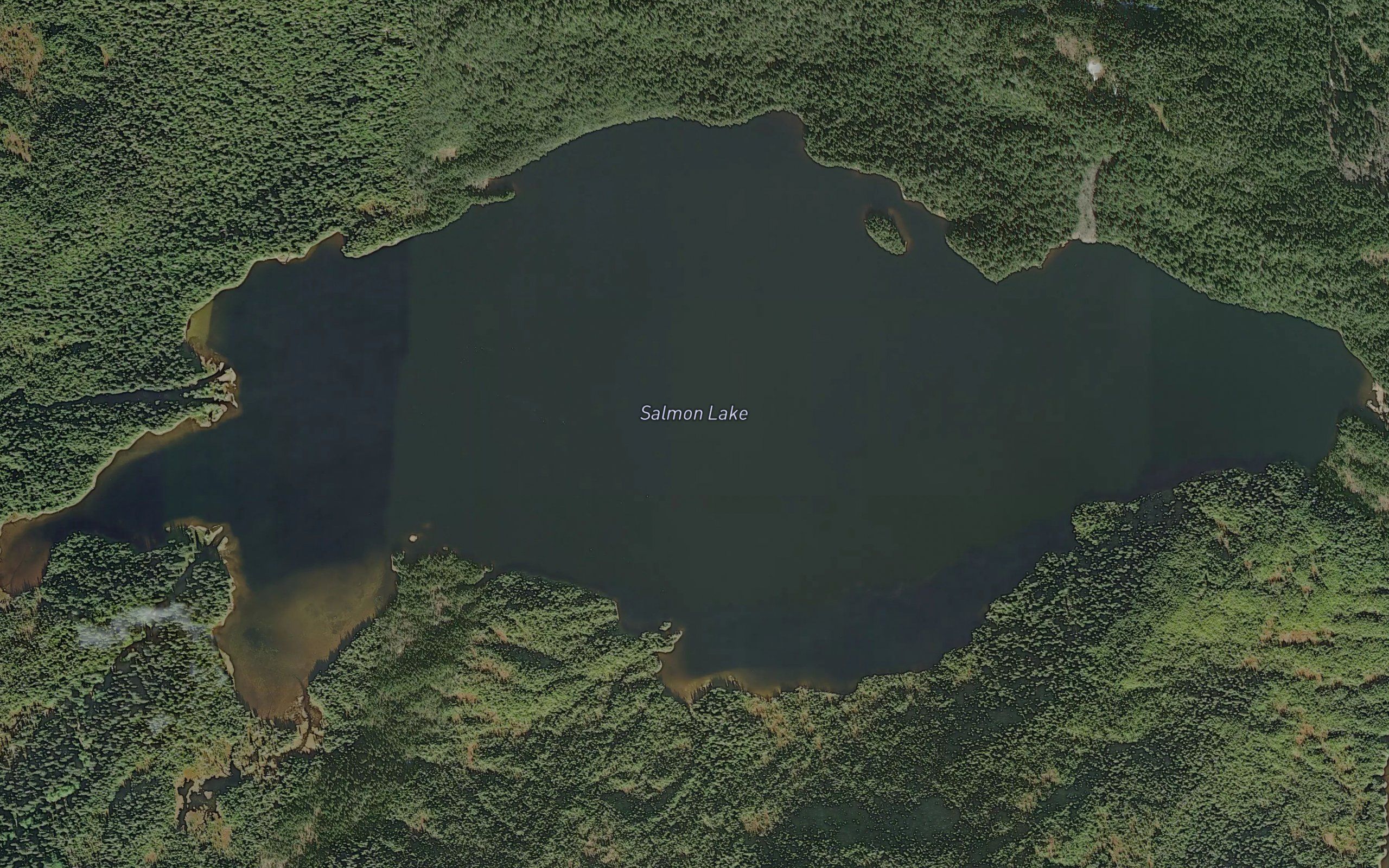 Salmon Lake