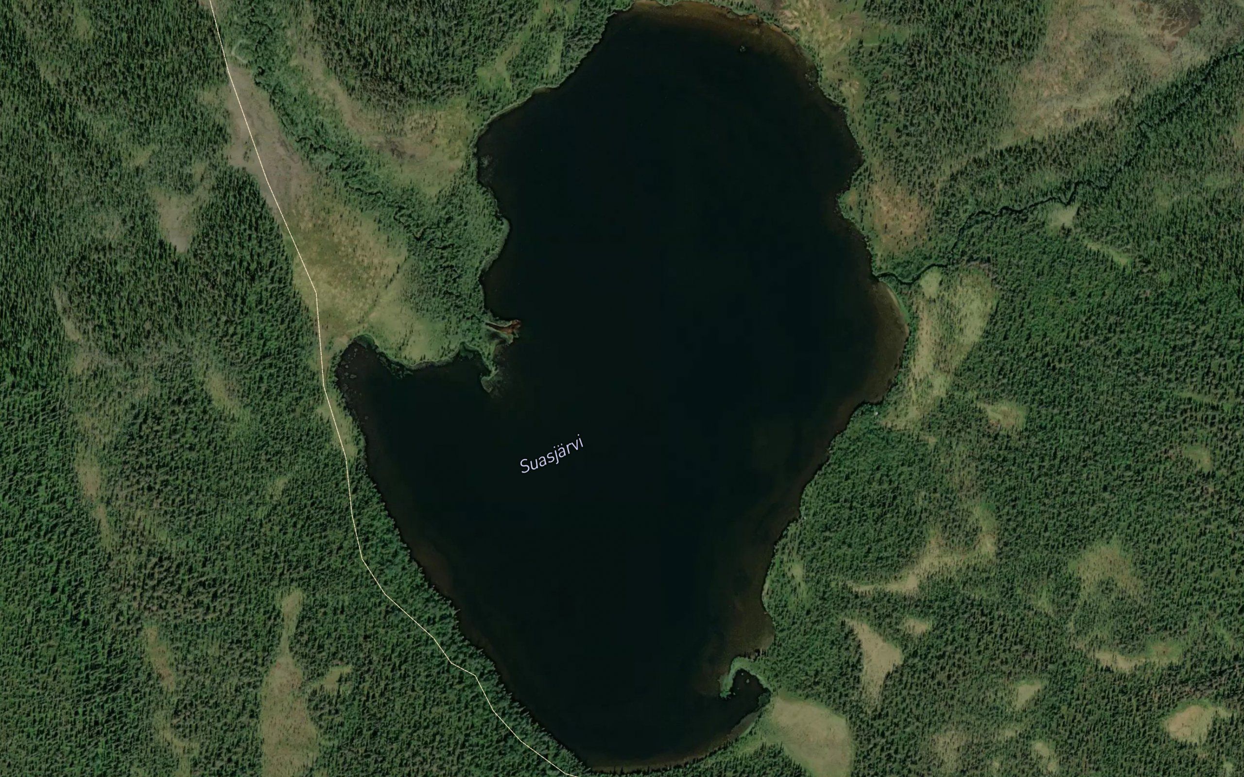 Suasjarvi