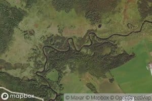 Wallace Brook