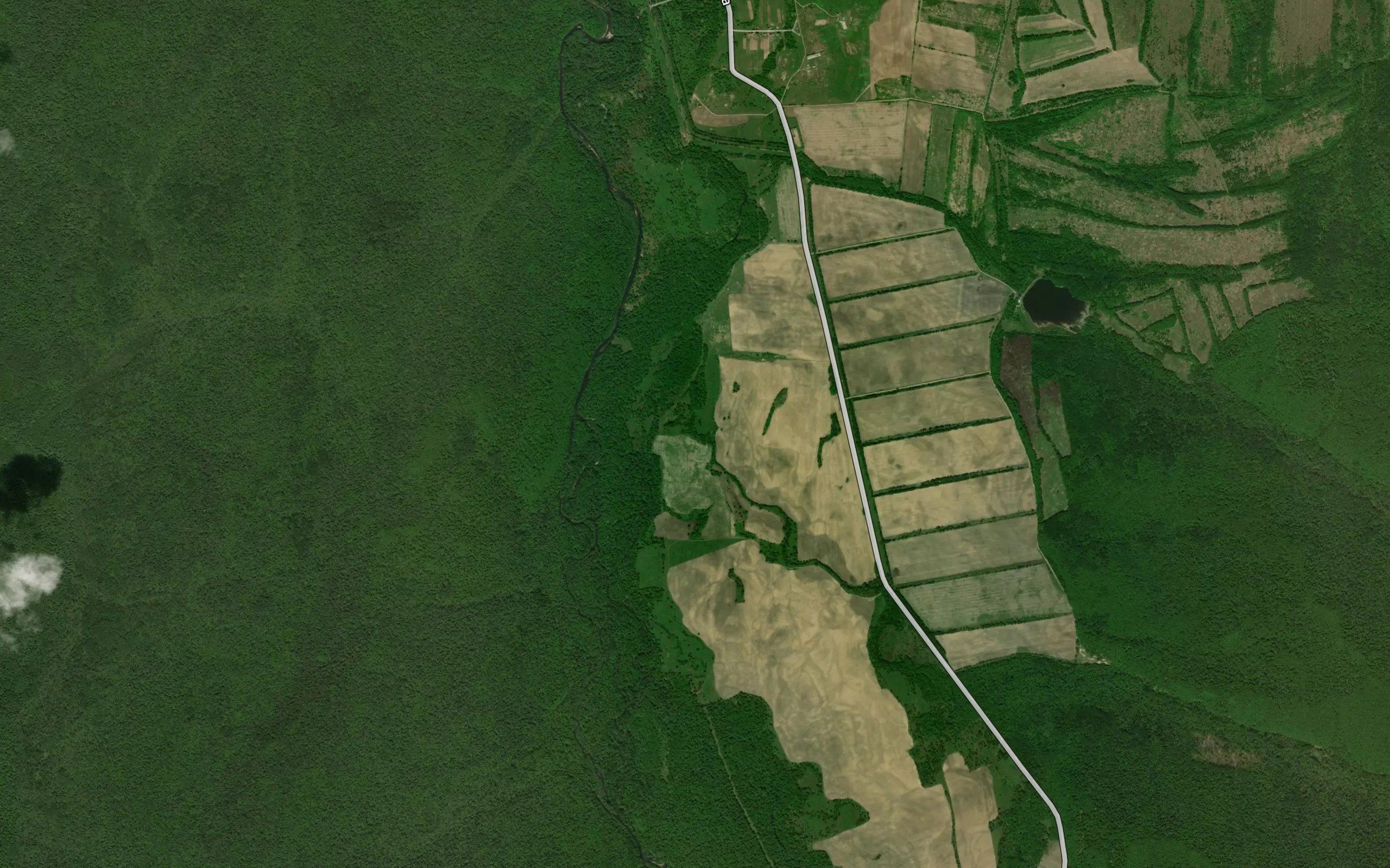 Minayeva Pad'