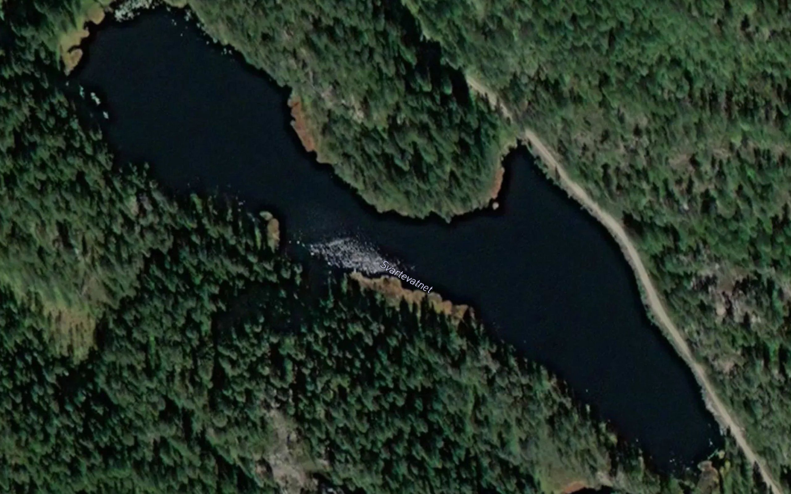 Svartevatnet