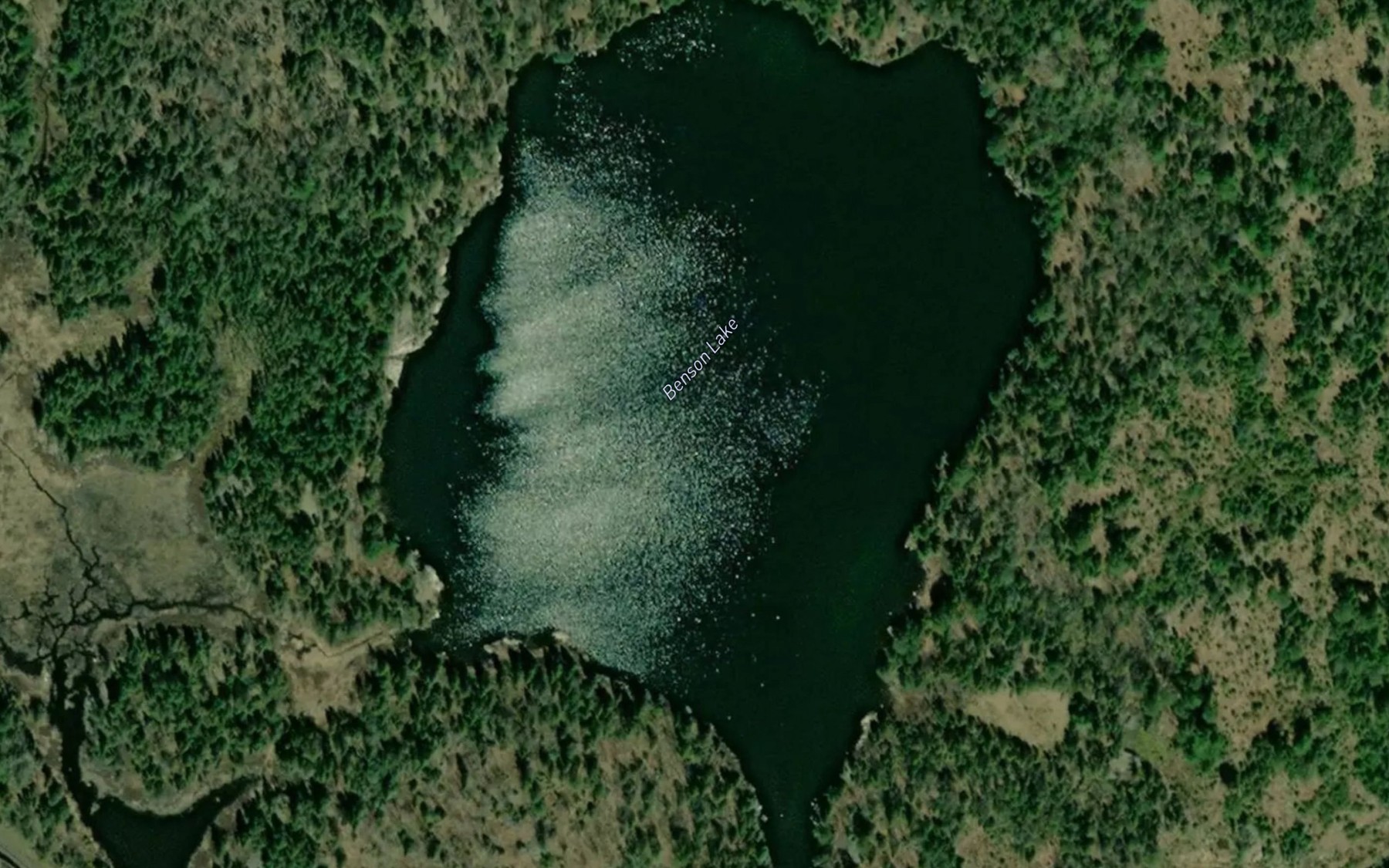 Satellite map of the Benson Lake