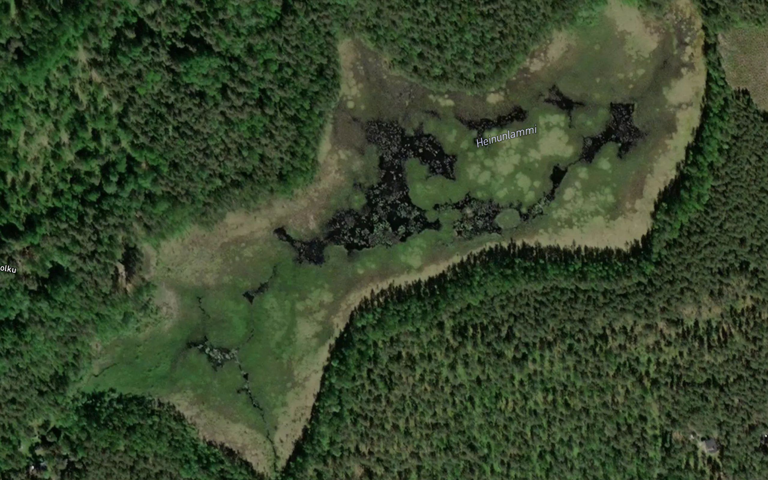 Heinunlammi