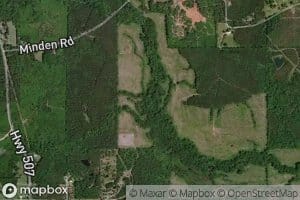 Holly Springs Branch