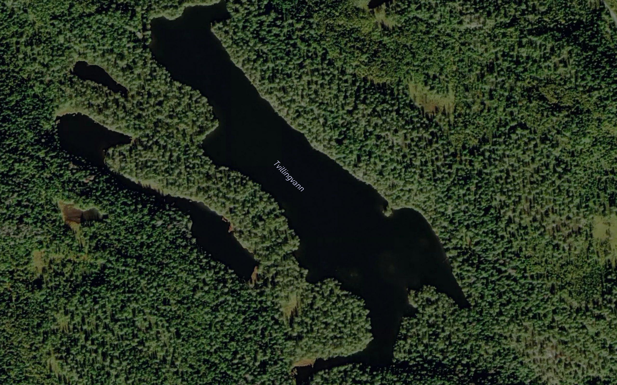 Tvillingvann