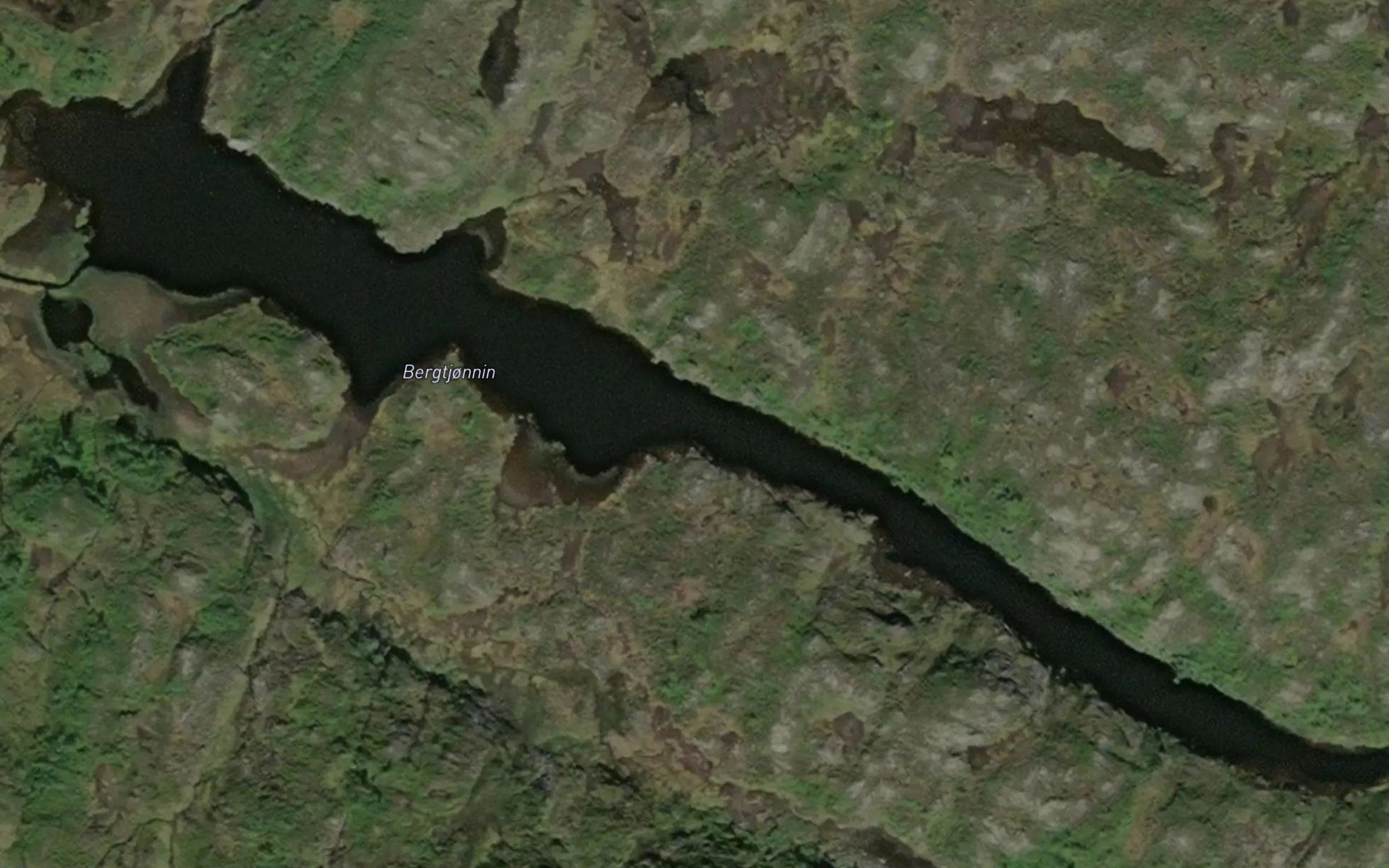 Bergtjonnin