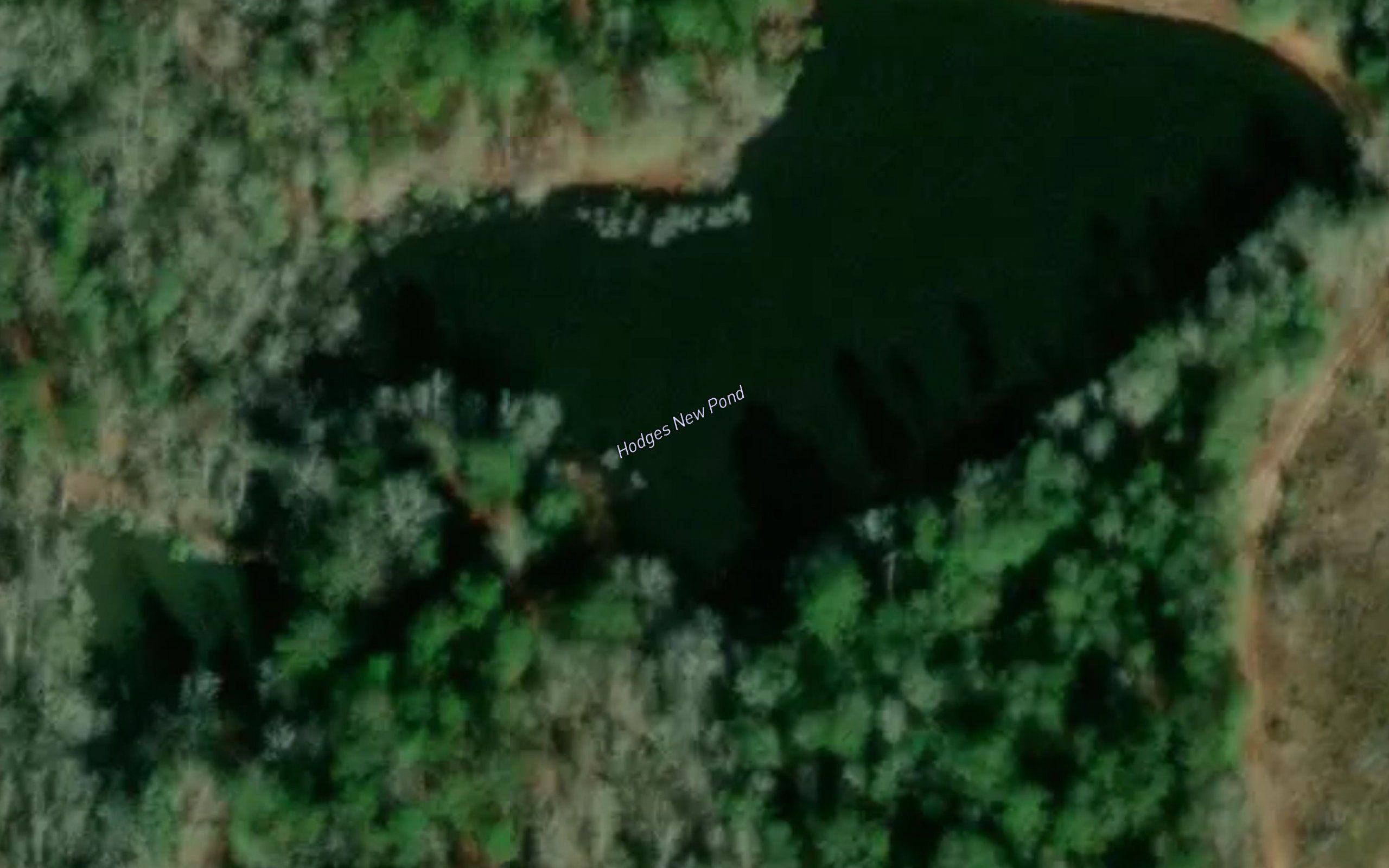 Hodges New Pond