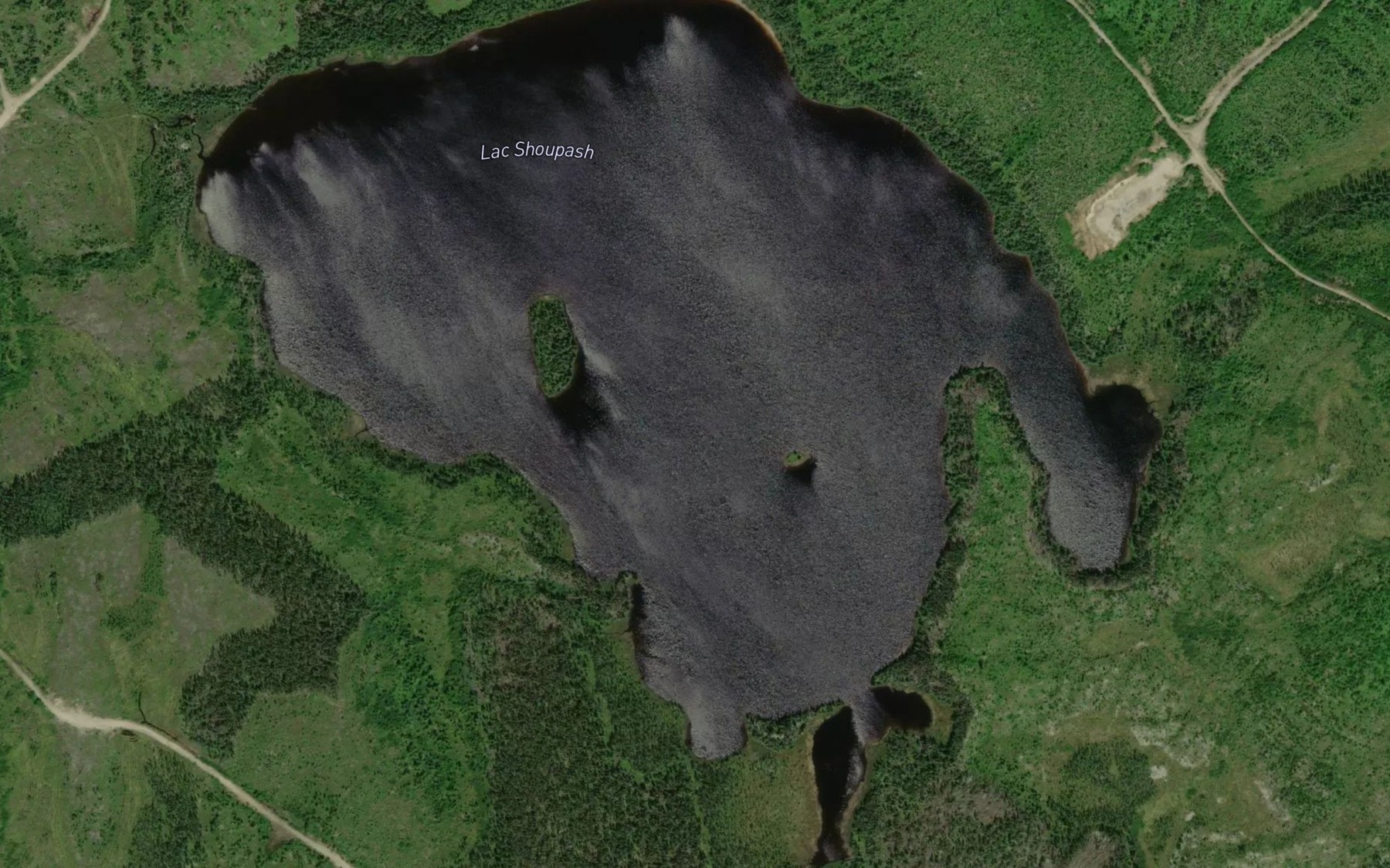 Satellite map of the Lac Shoupash