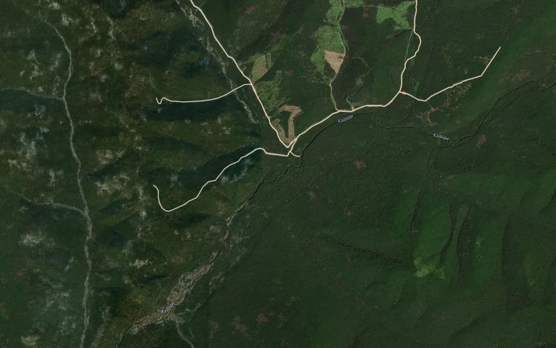 Satellite map of the Yagodnyy