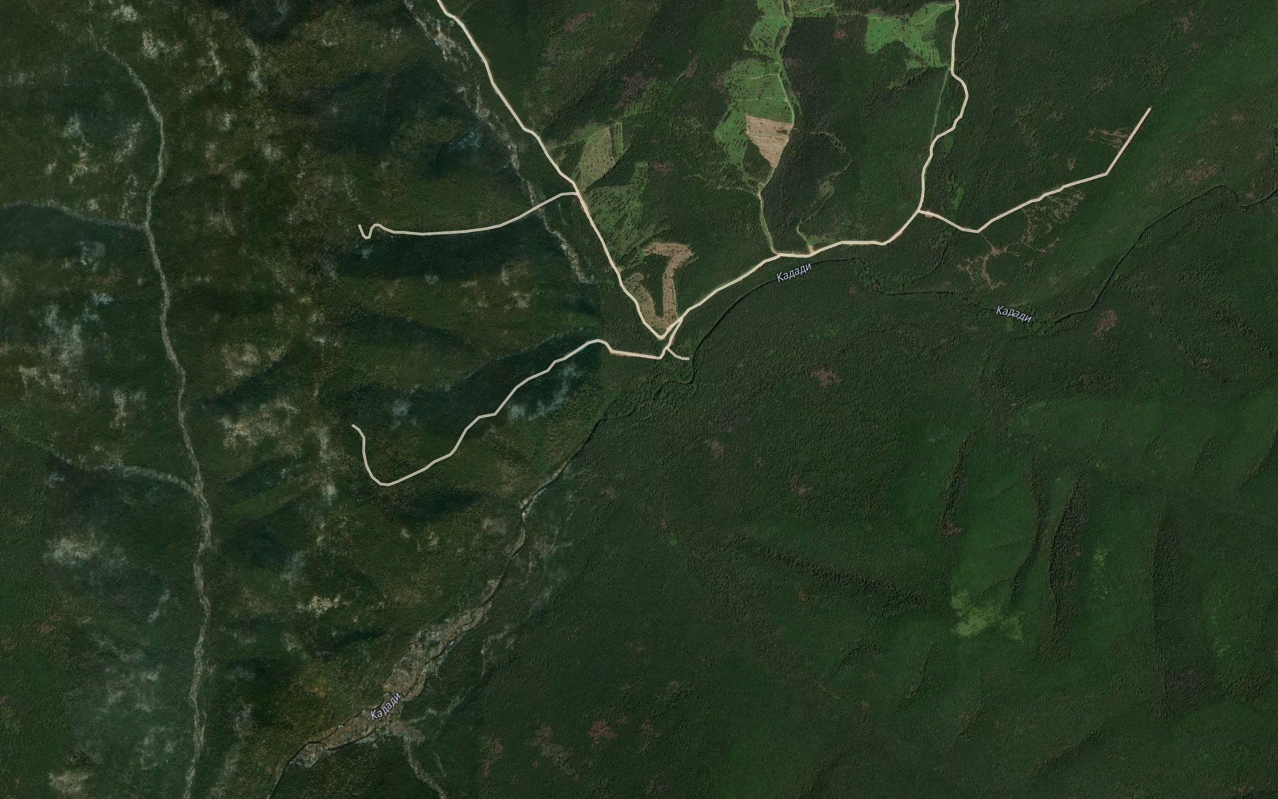 Yagodnyy