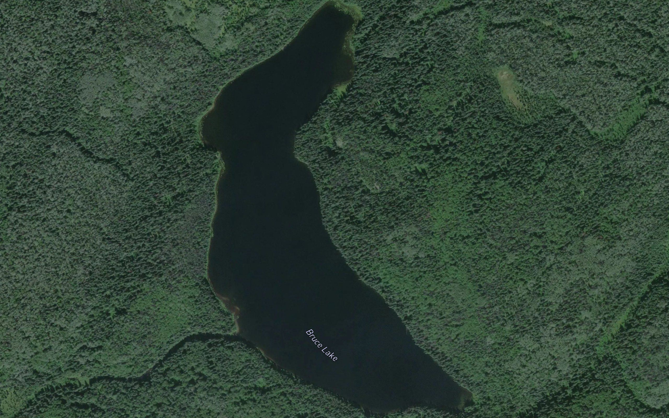 Bruce Lake