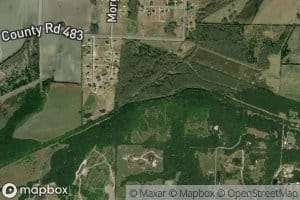 Bluff Creek
