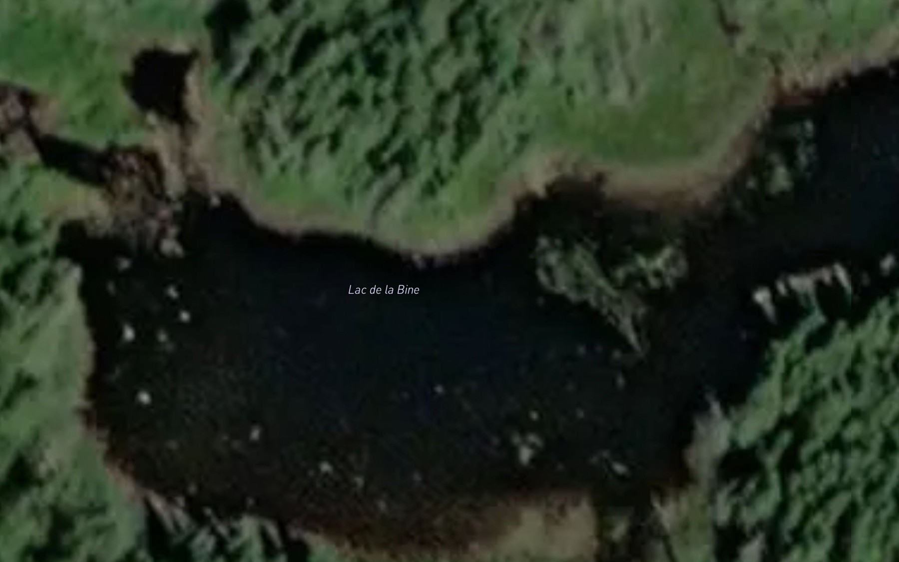 Satellite map of the Lac de la Bine