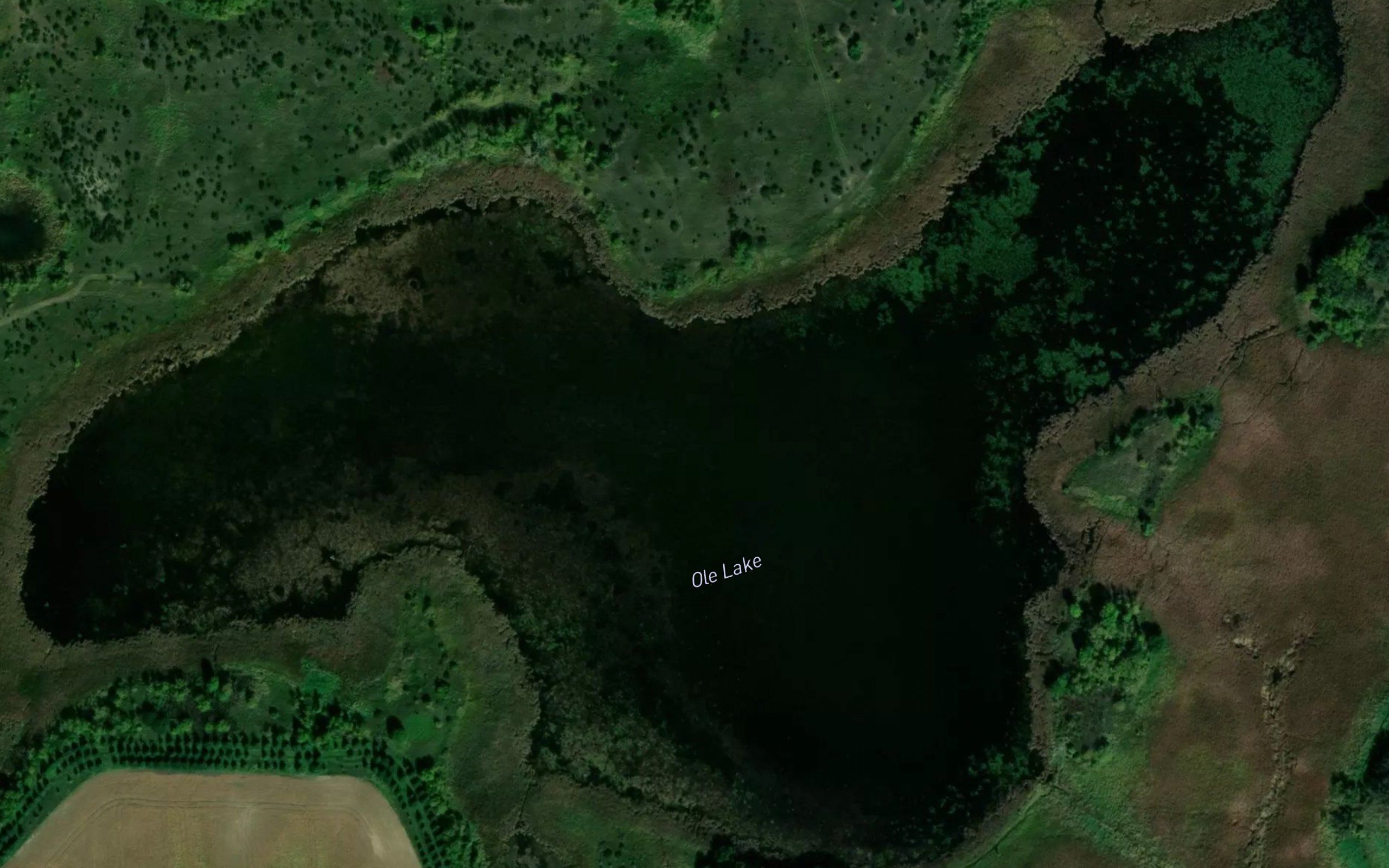 Ole Lake