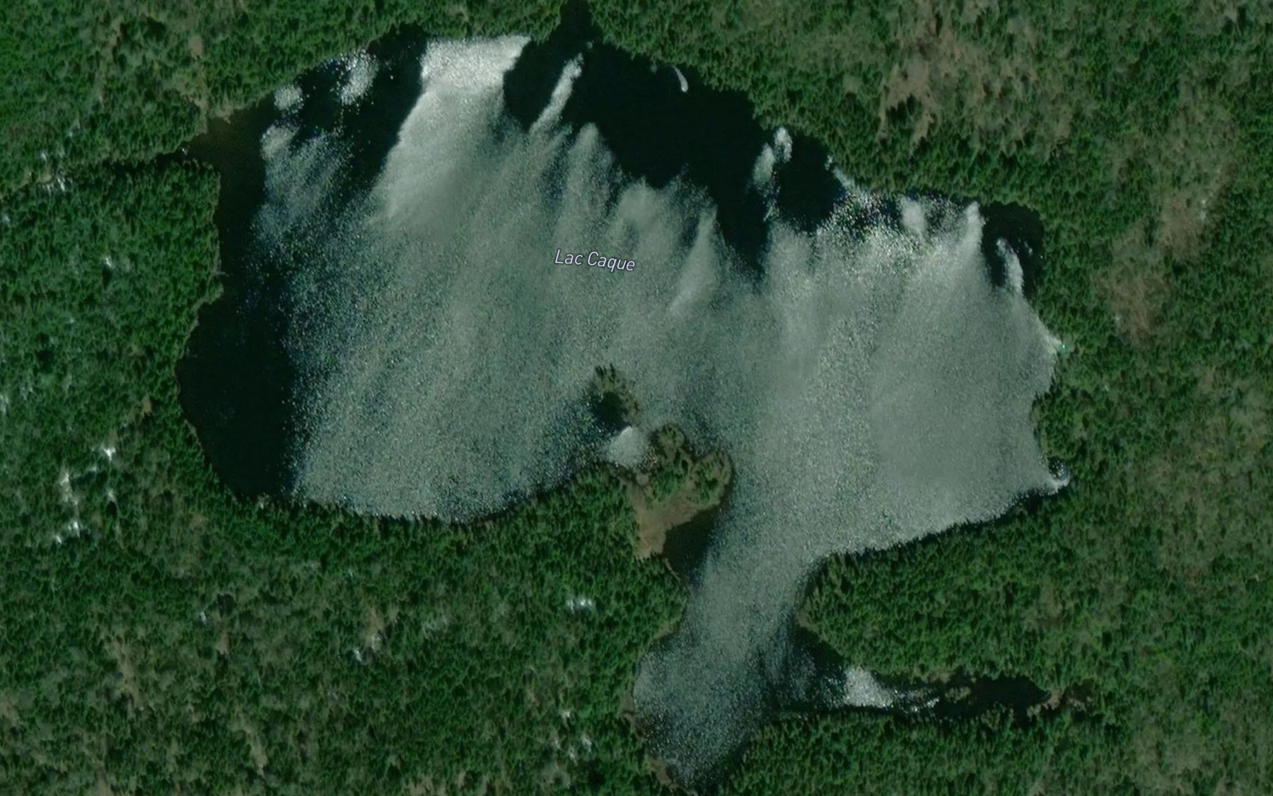 Satellite map of the Lac Caque