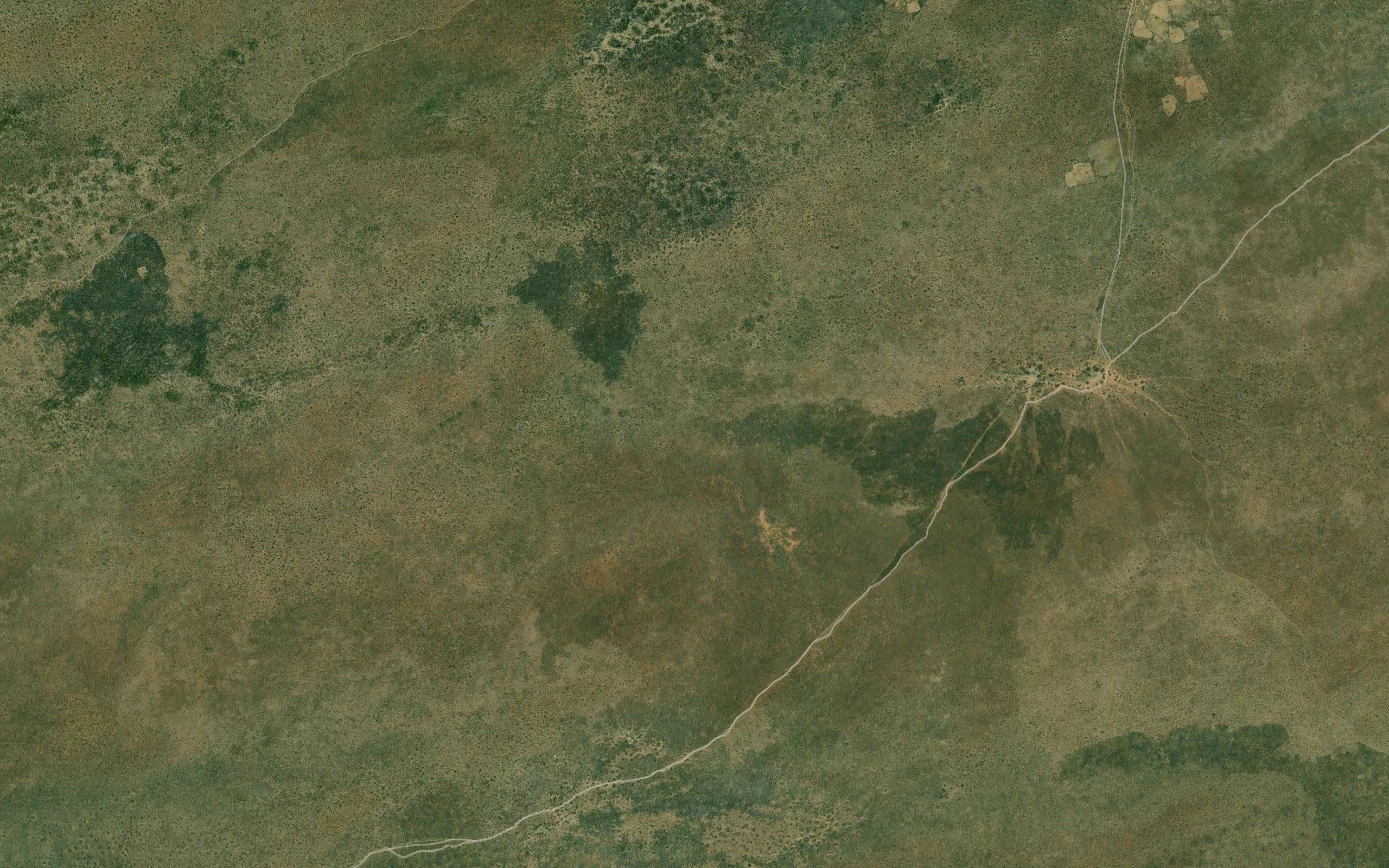 Gamusa
