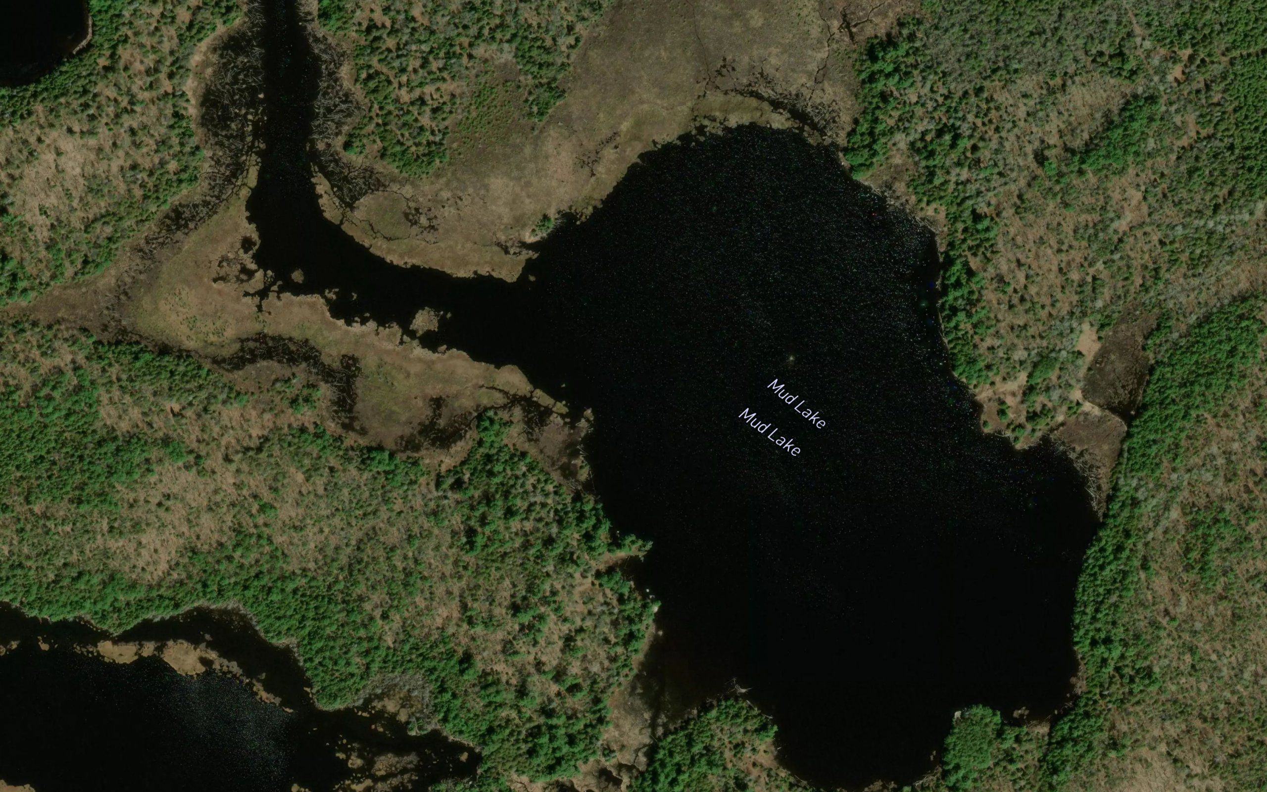 Mud Lake