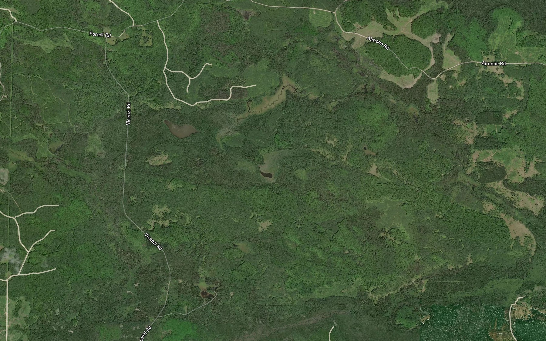 Satellite map of the Little Mud Lake