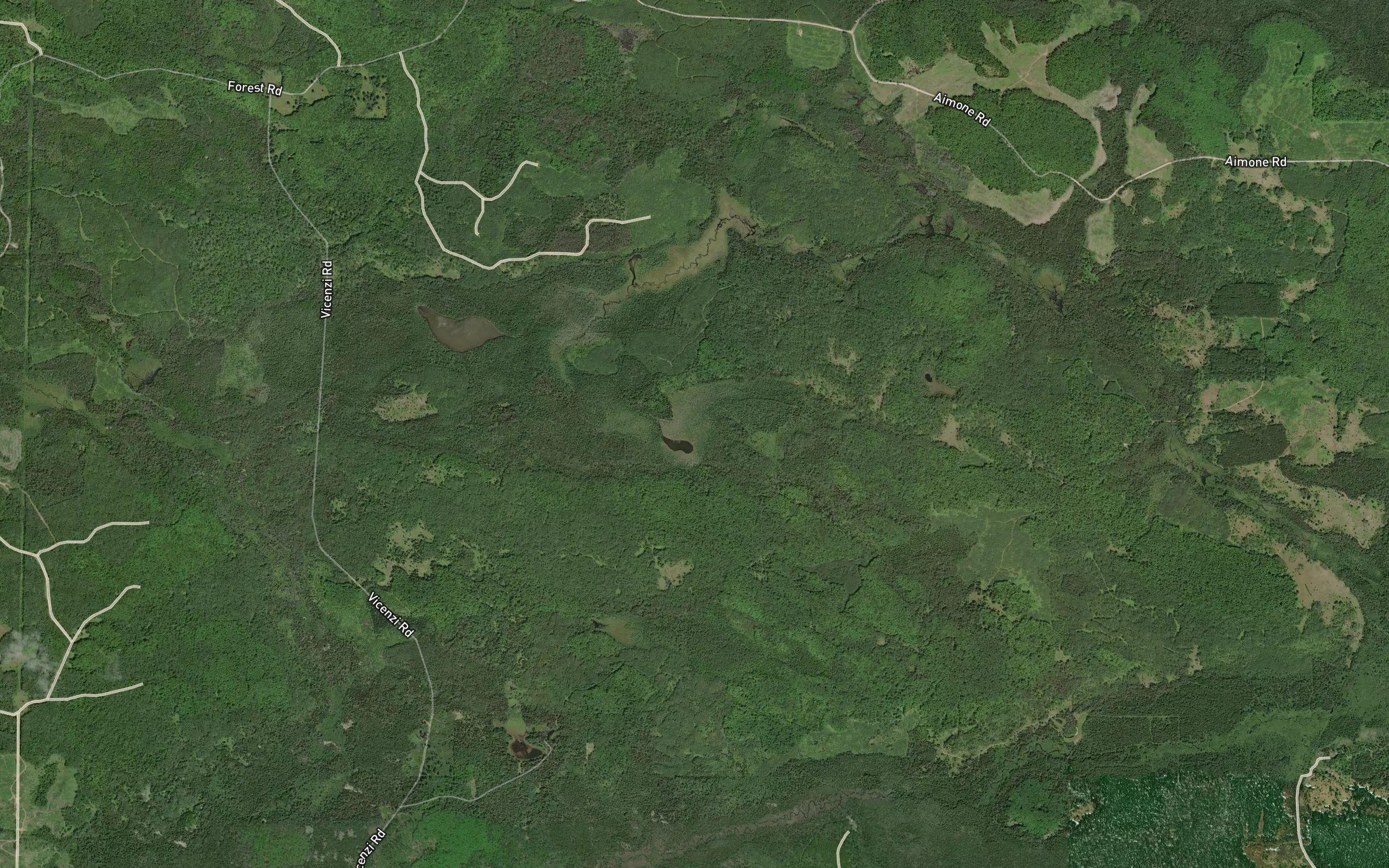 Little Mud Lake