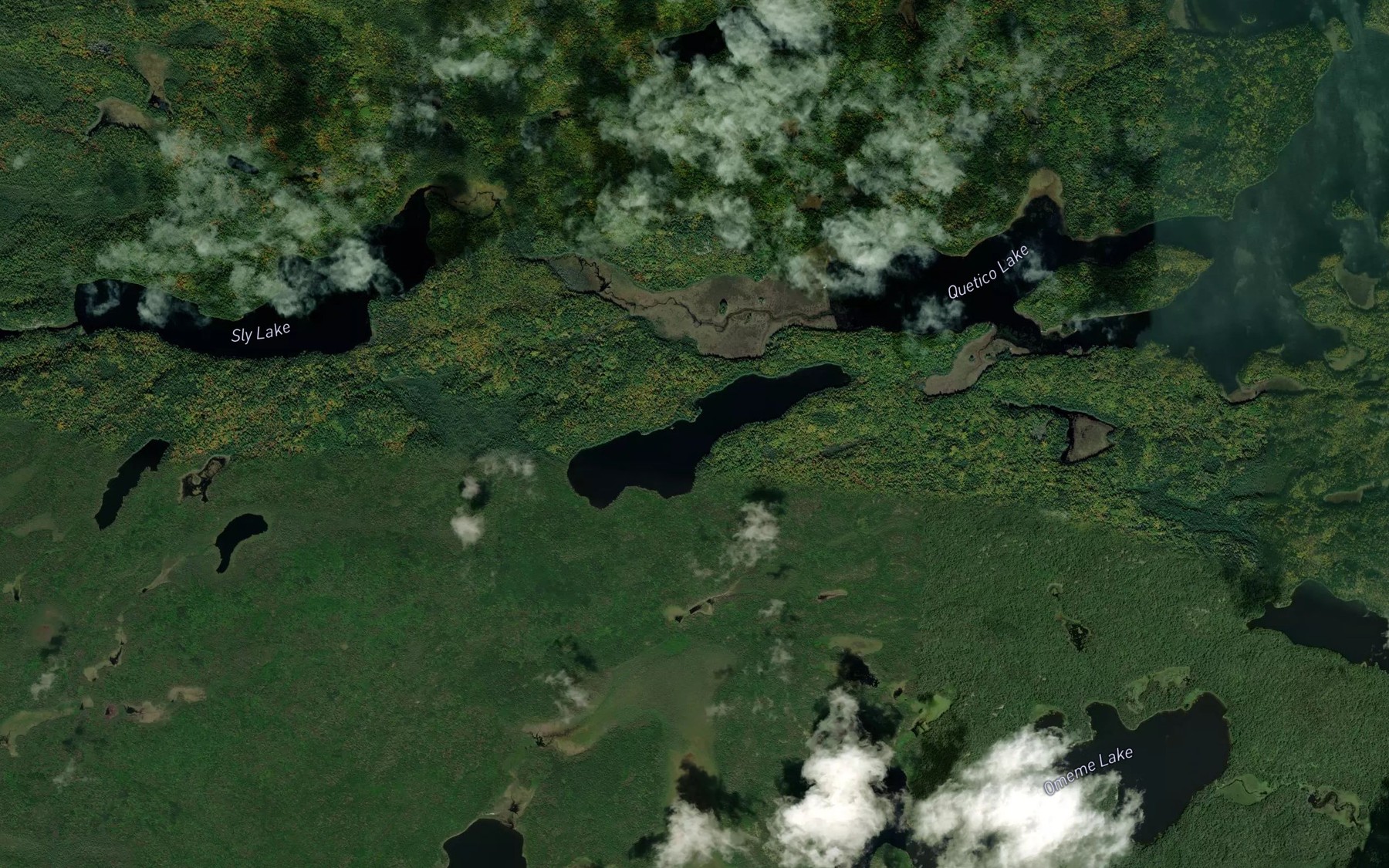 Satellite map of the Curtis Lake