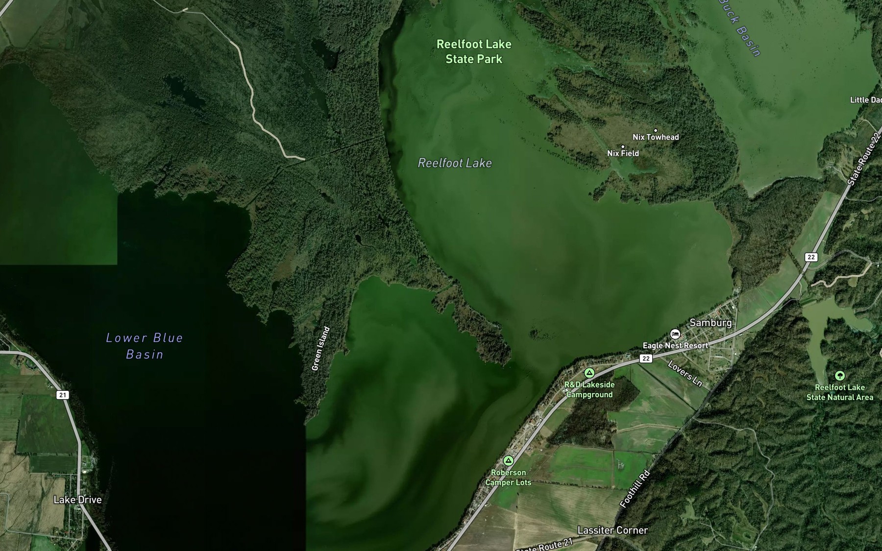 Satellite map of the Big Ronaldson Slough