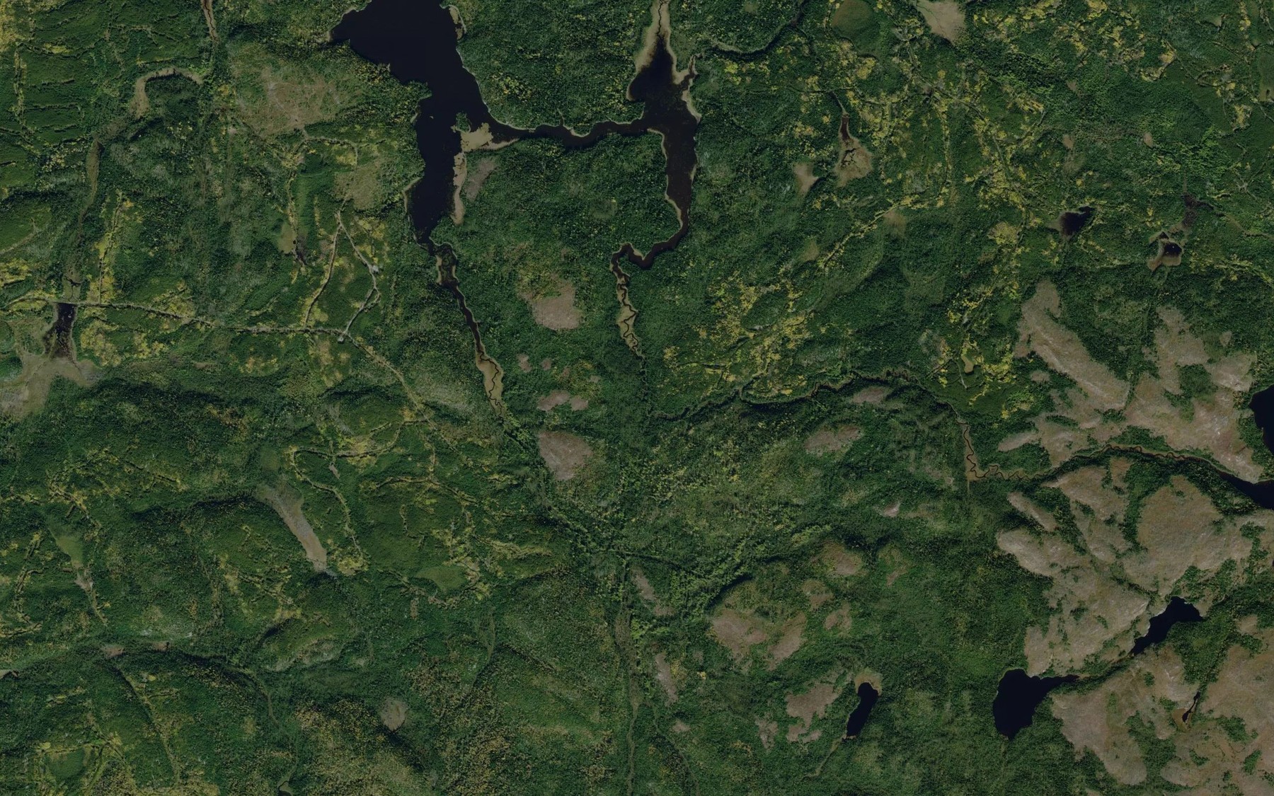 Satellite map of the Horse Creek