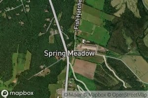 Spring Meadow Spring
