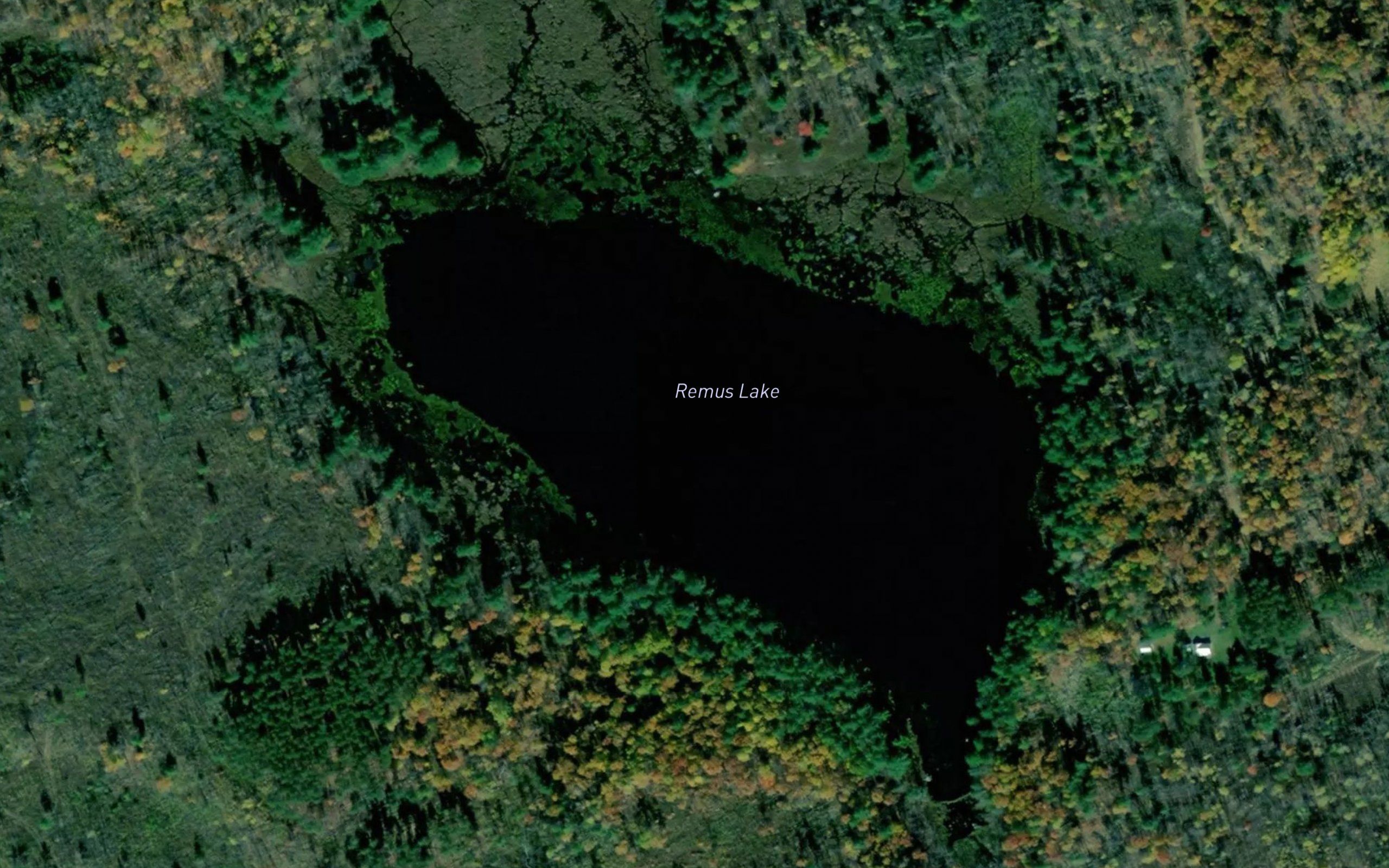 Remus Lake
