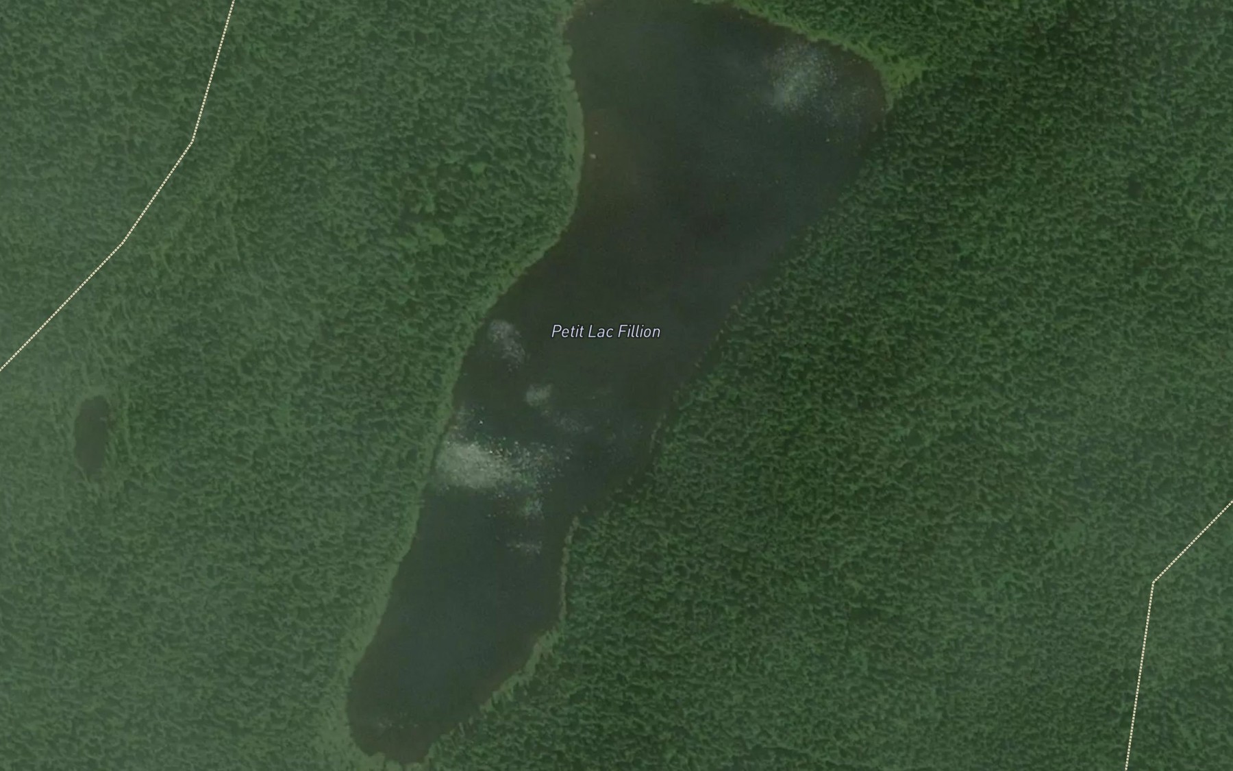 Satellite map of the Petit lac Filion
