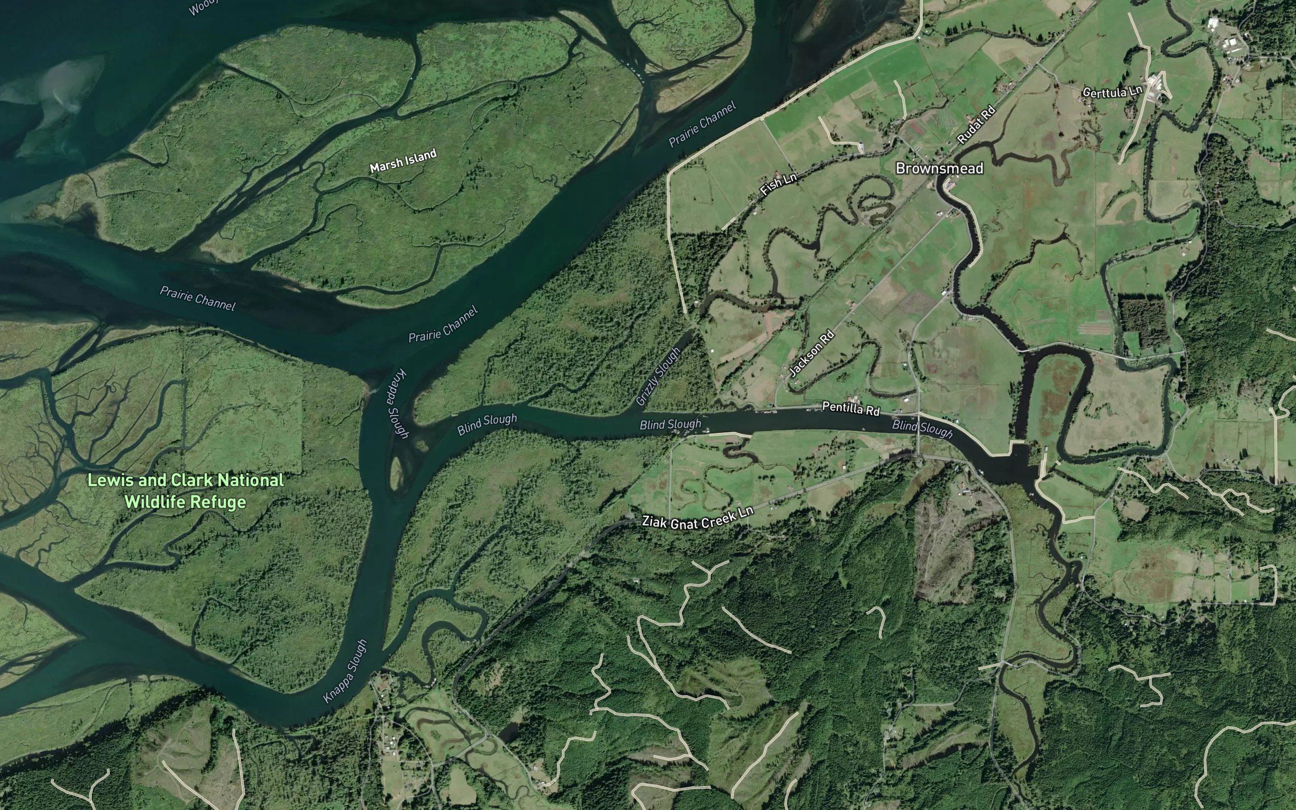 Grizzly Slough