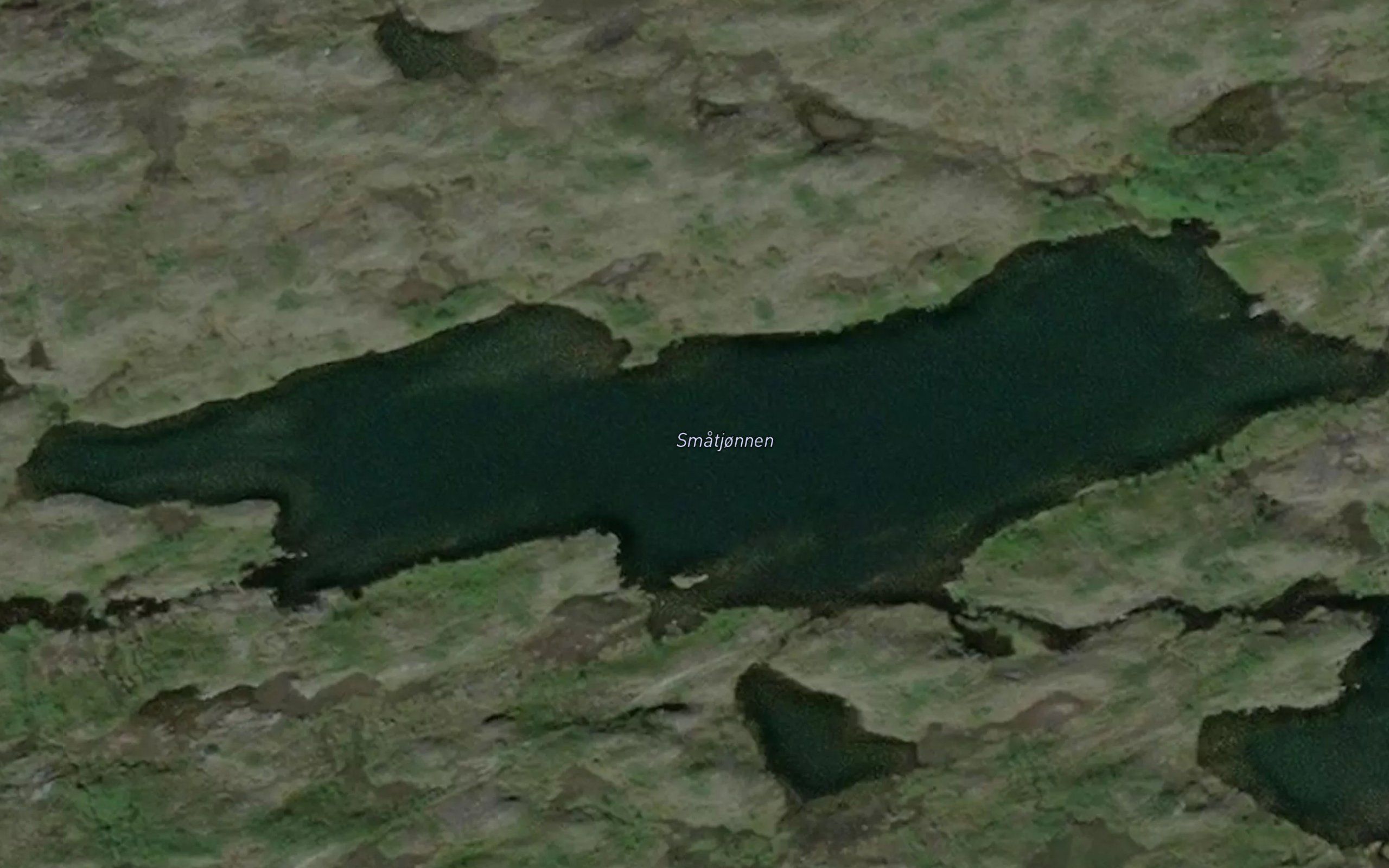 Smatjorn