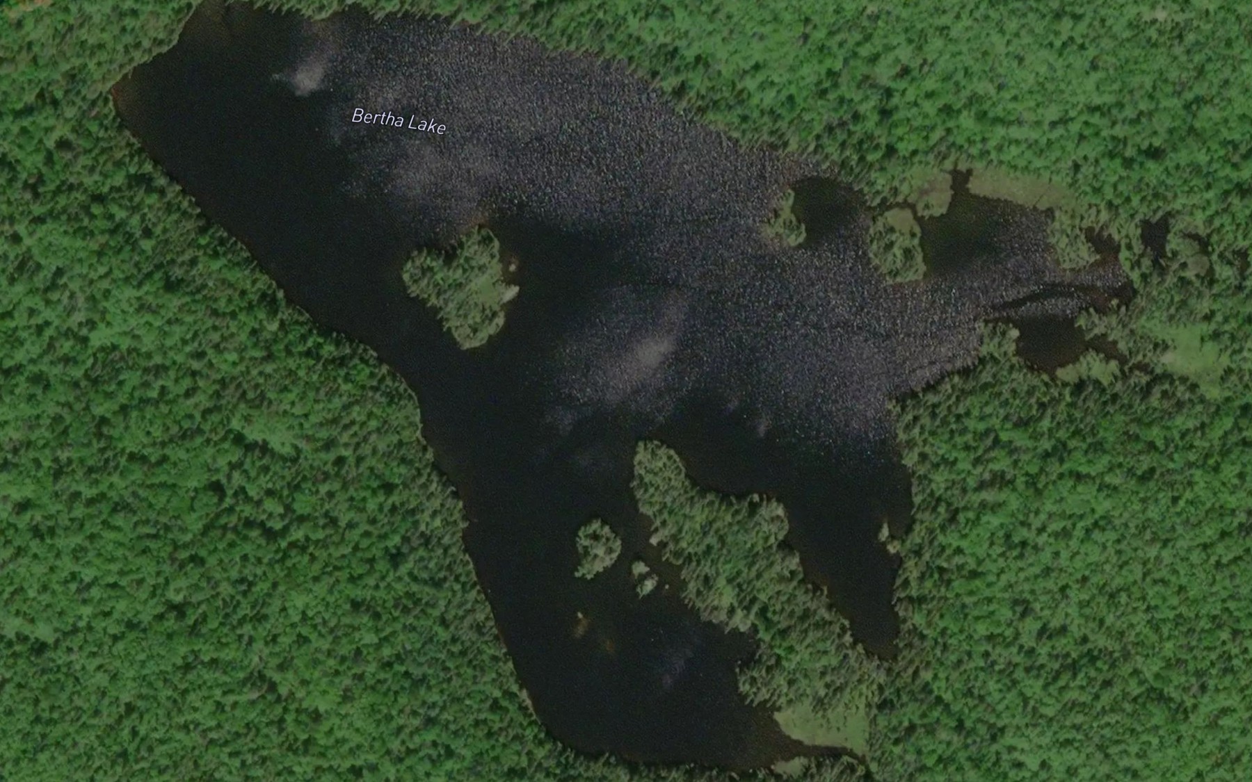 Satellite map of the Bertha Lake