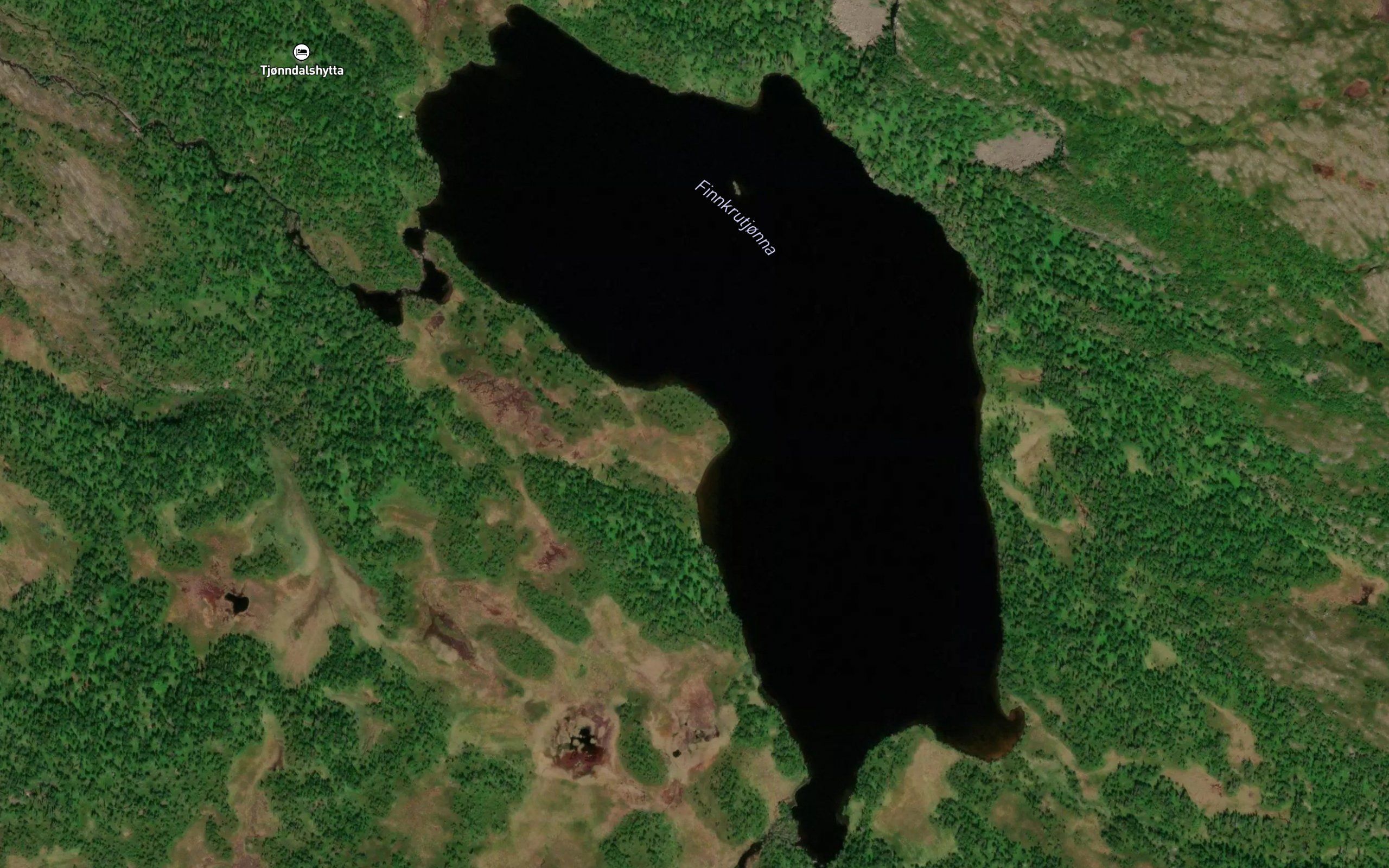 Finnkrutjorna