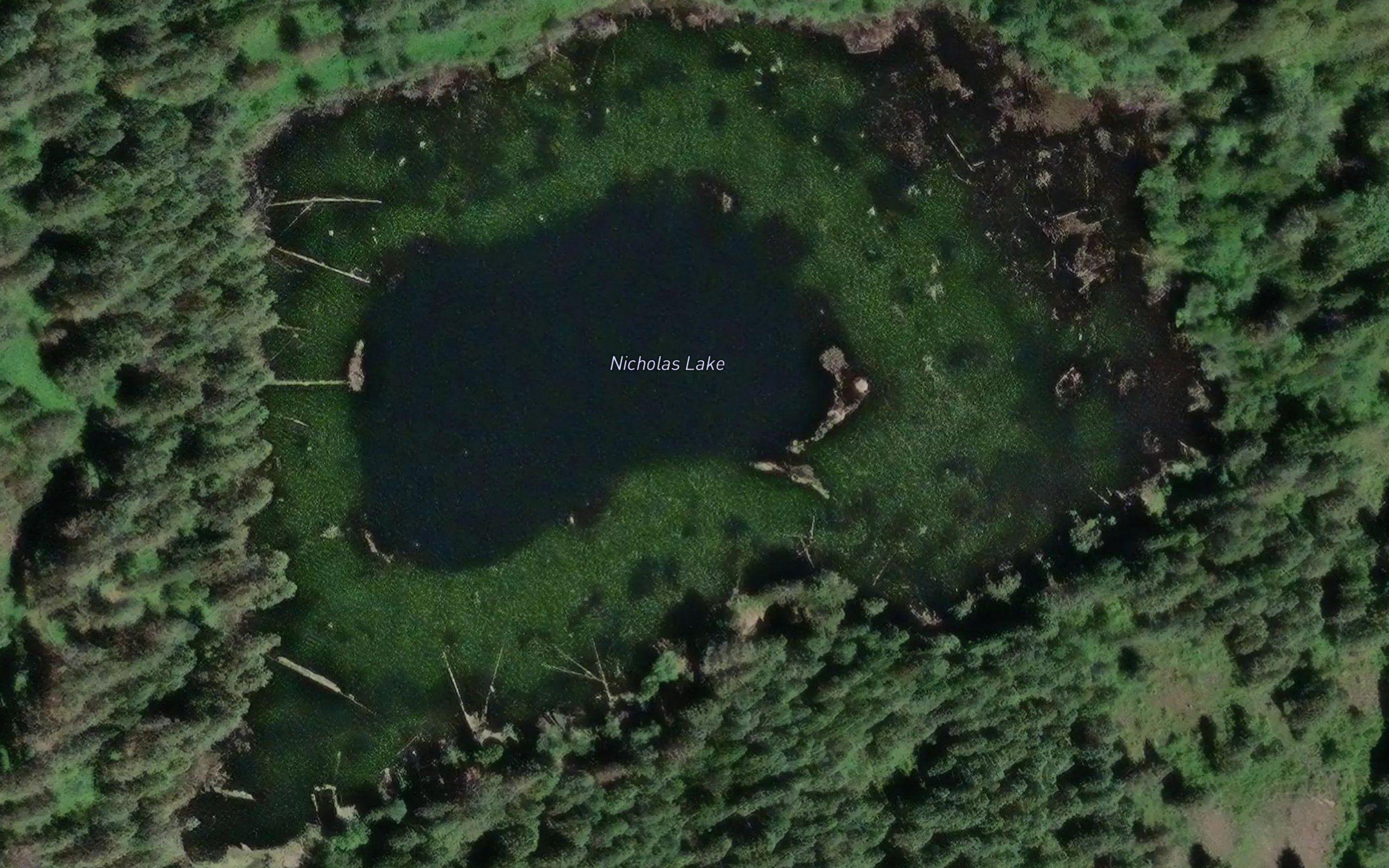 Nicholas Lake