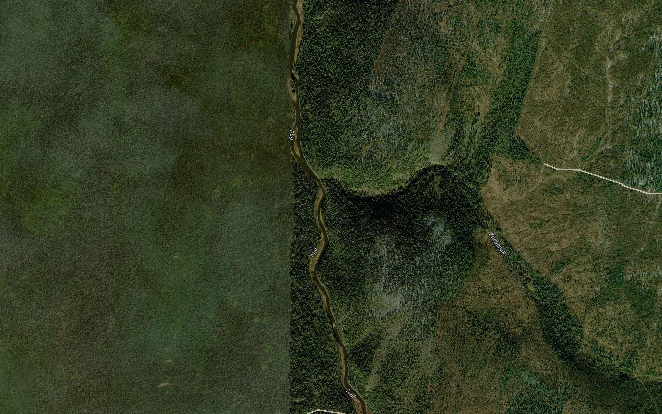 Kedrovaya