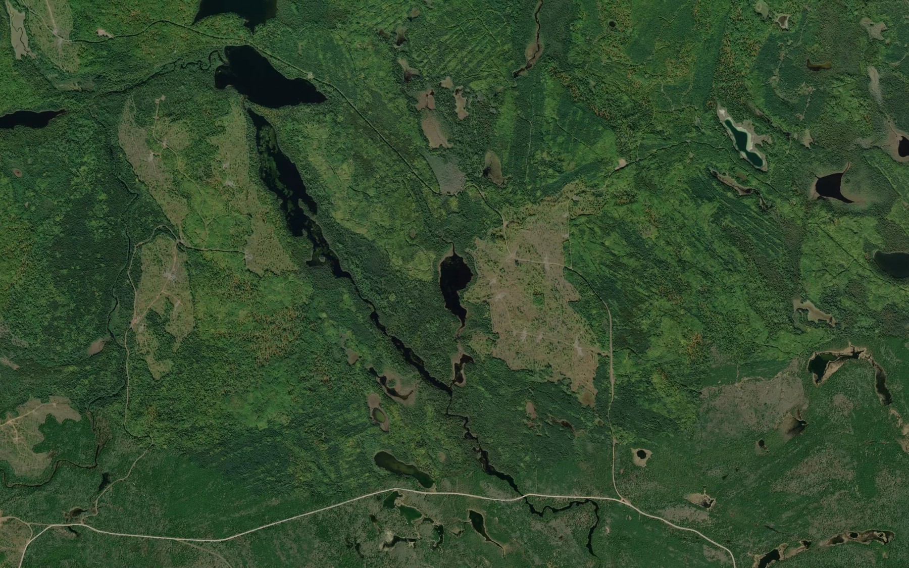 Satellite map of the Yea Lake