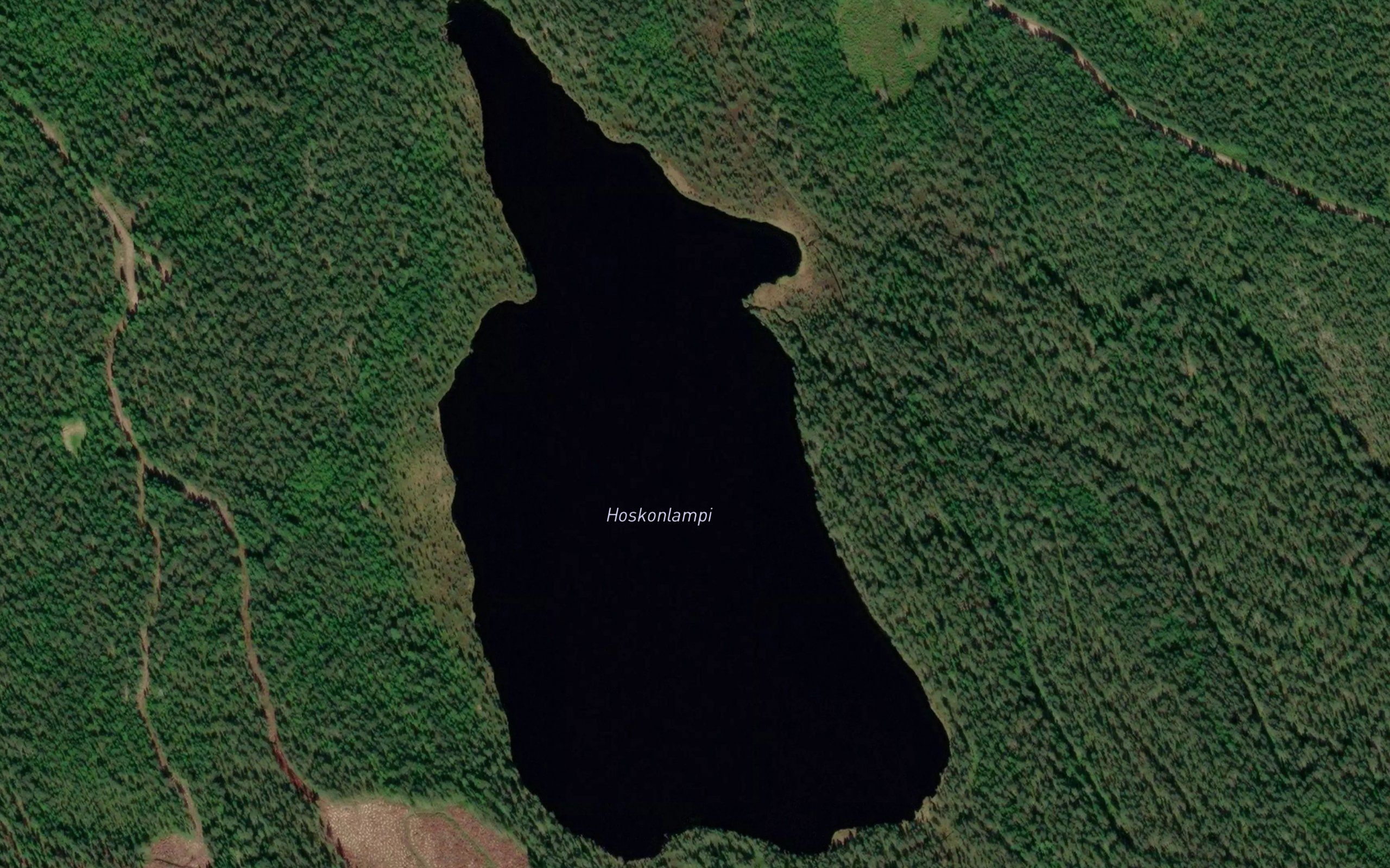 Hoskonlampi