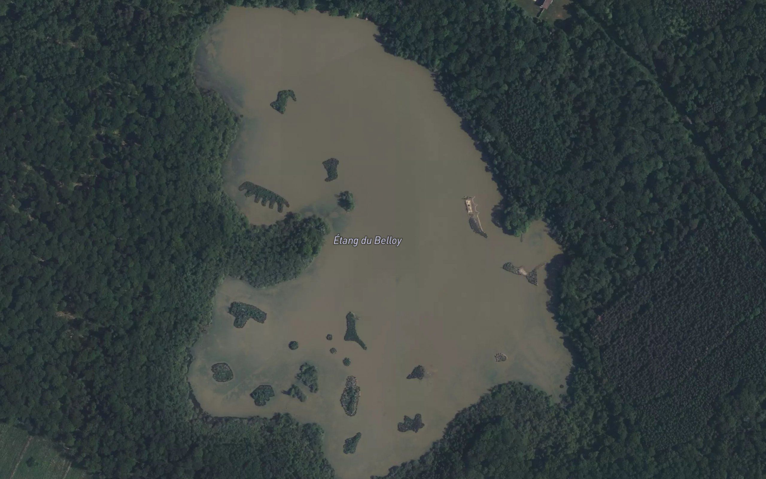 Etang du Belloy
