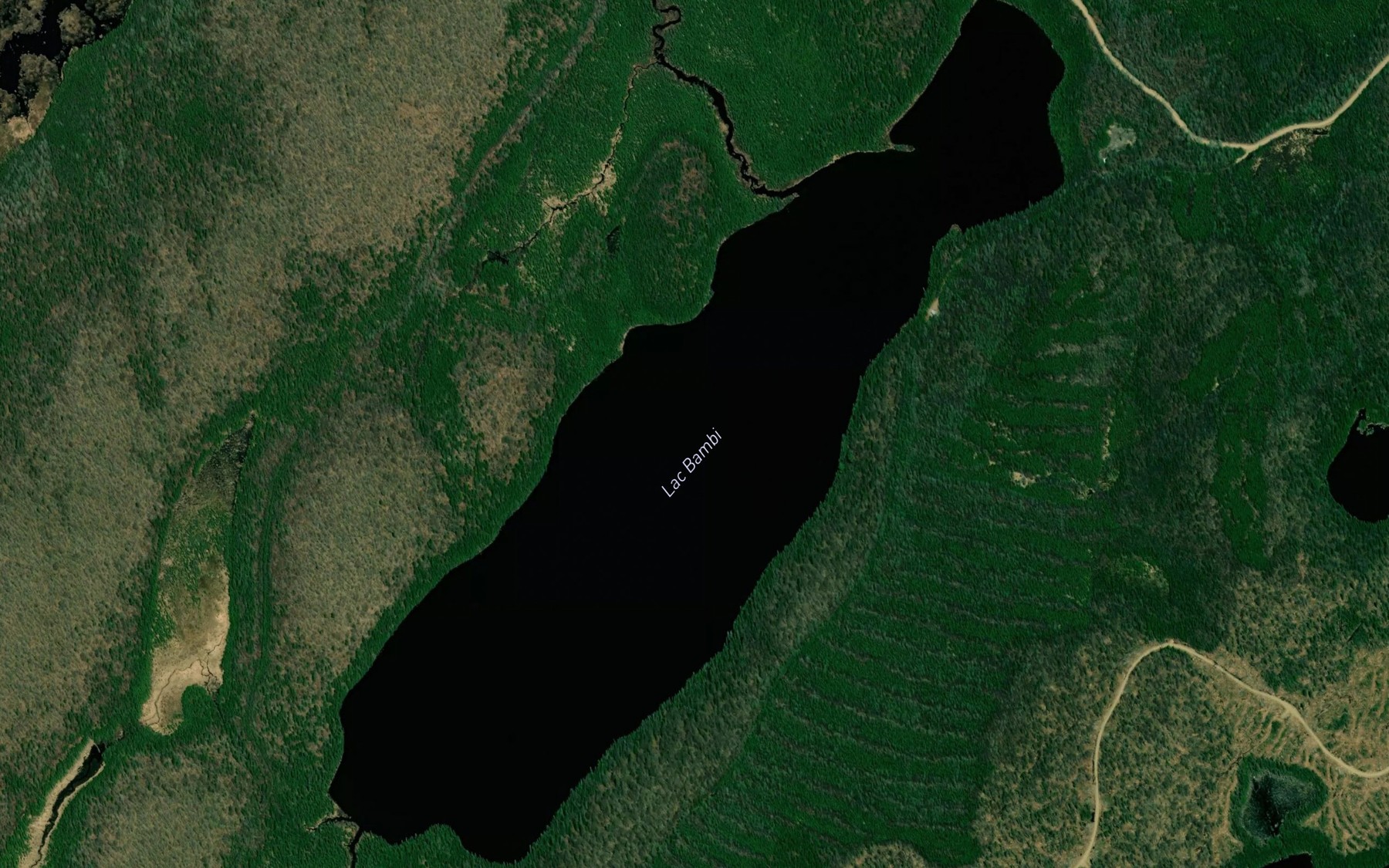 Satellite map of the Lac Bambi