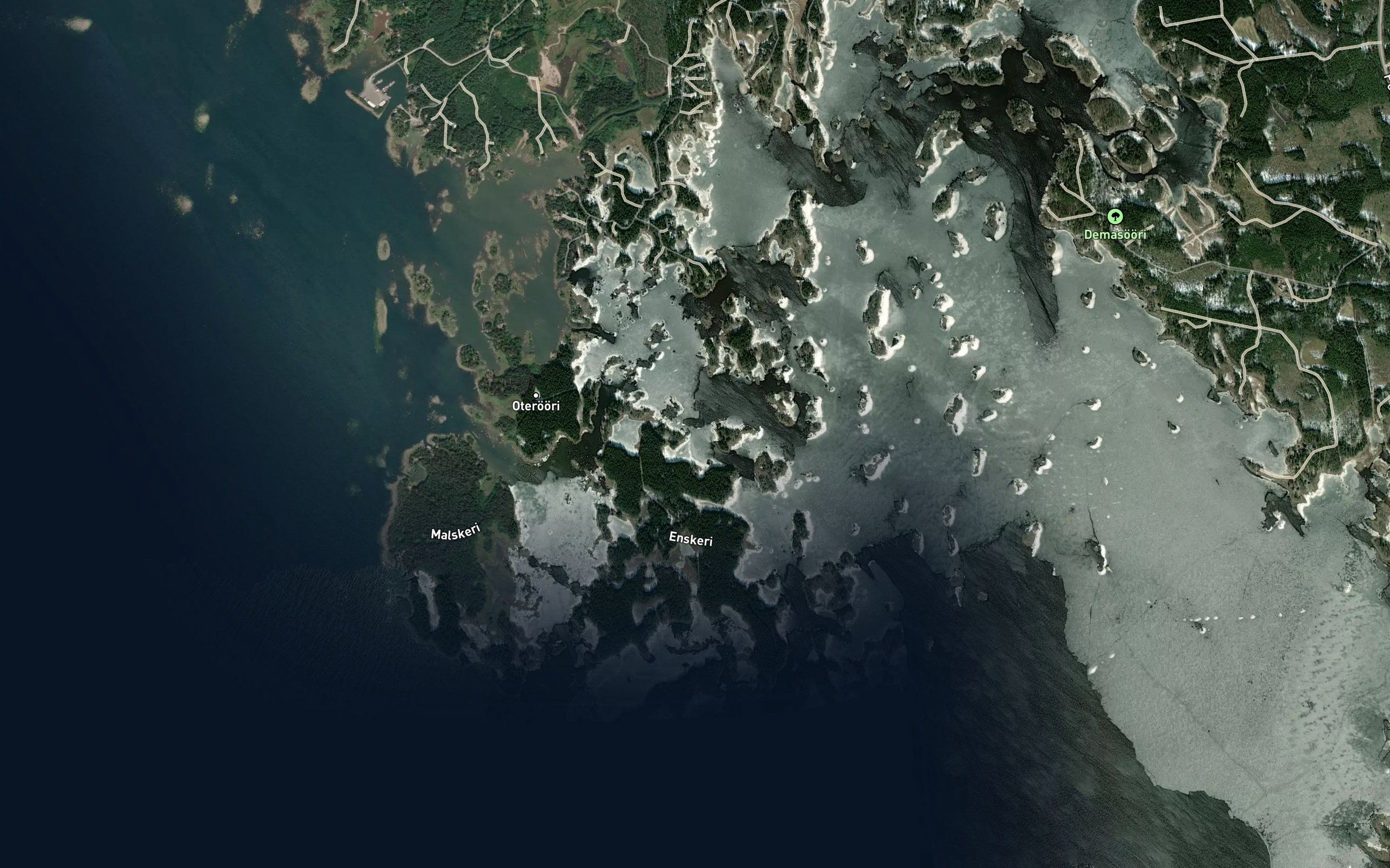 Polkkyviiki