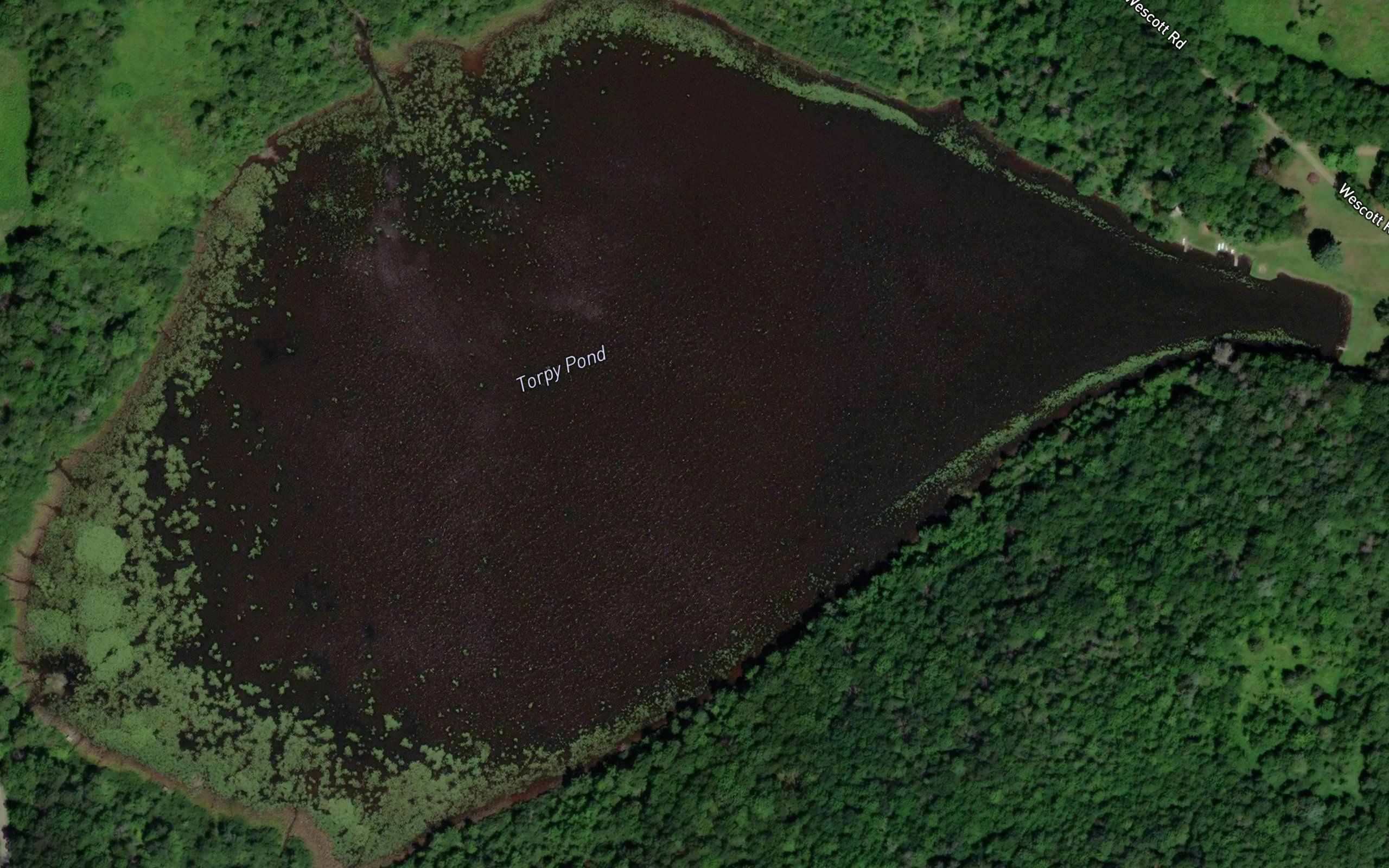 Torpy Pond