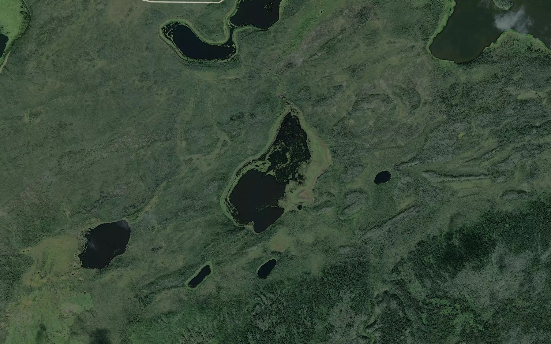 Satellite map of the Lost Lake