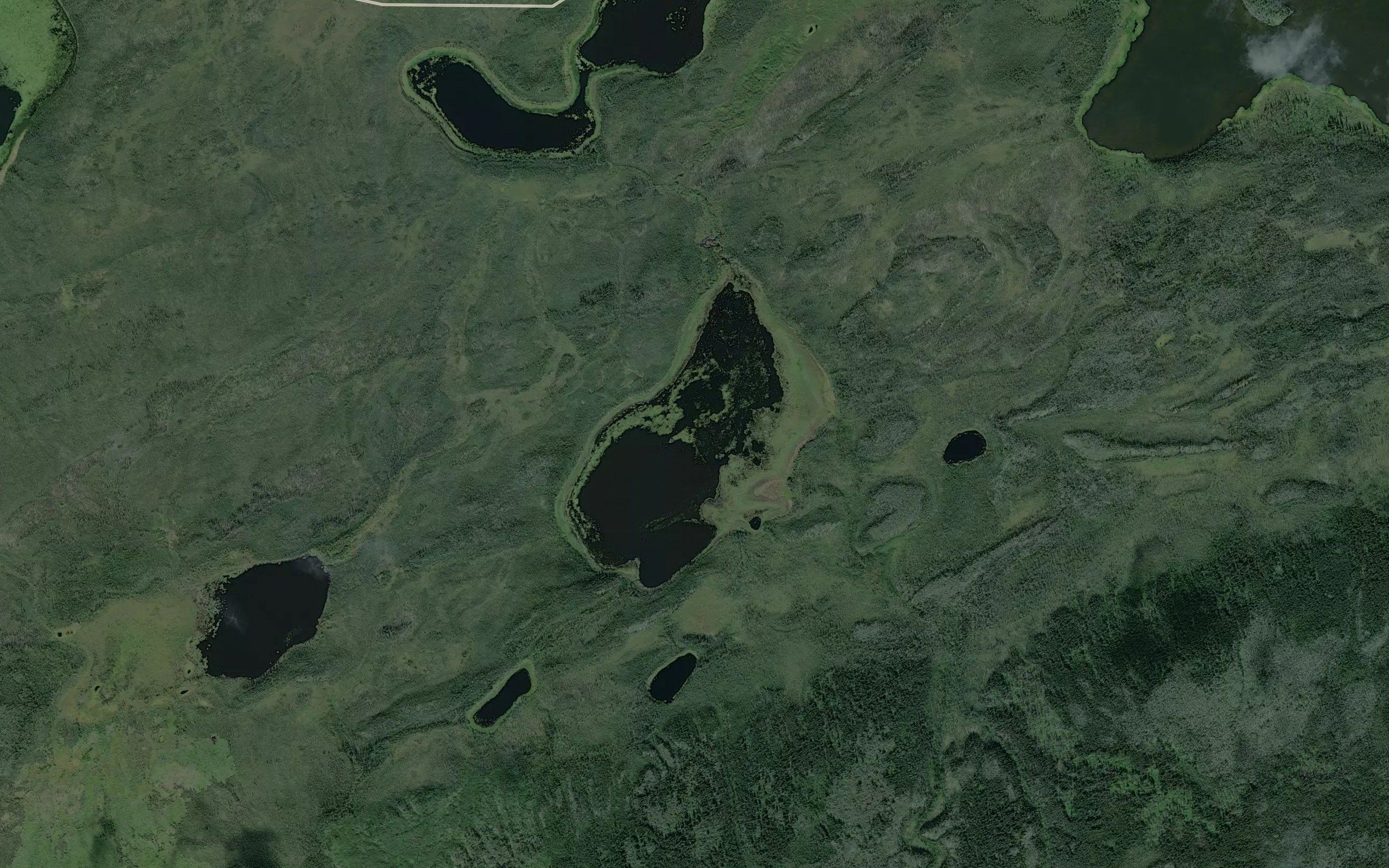 Lost Lake