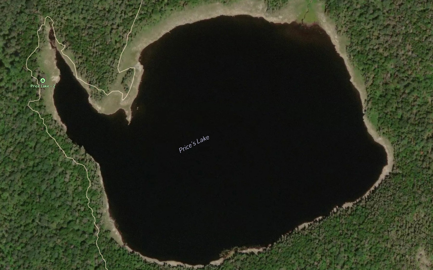 Satellite map of the Price's Lake