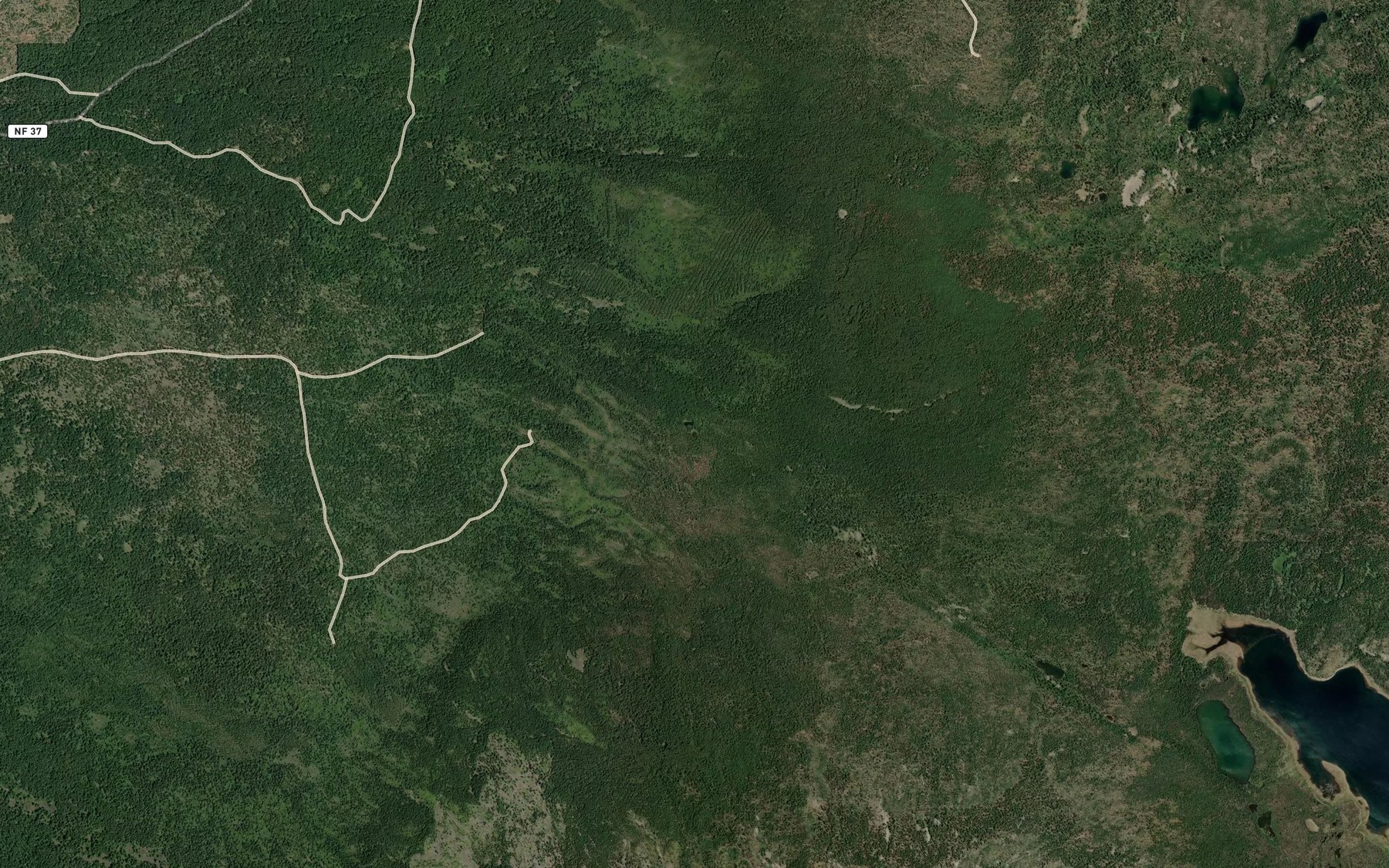 Satellite map of the Twin Ponds