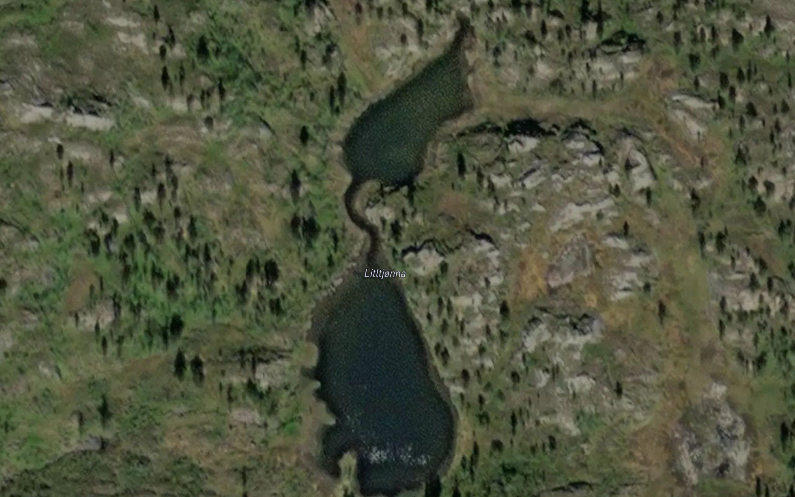 Litltjorna