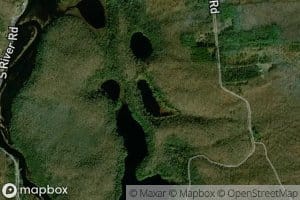 Grass Pond
