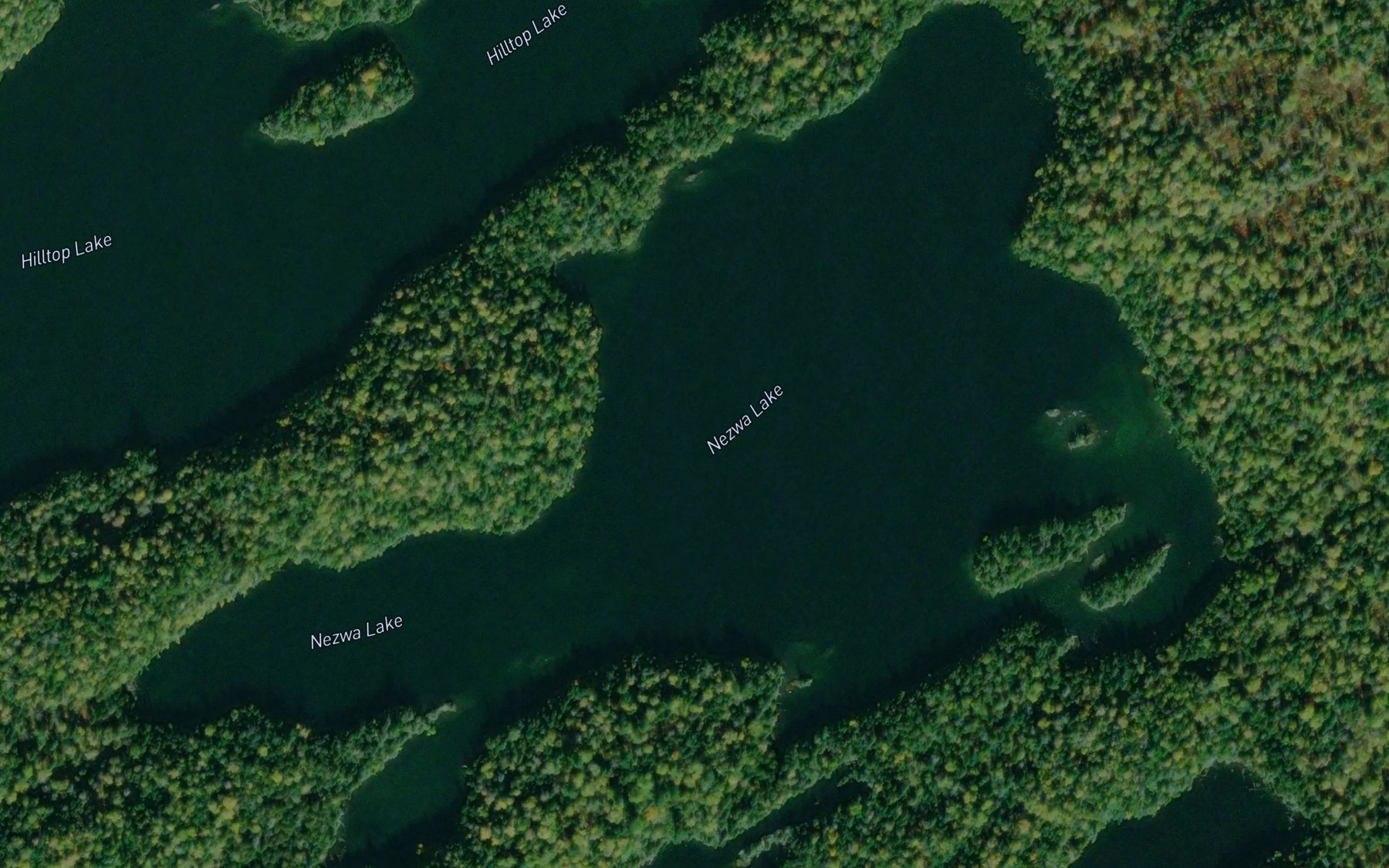 Satellite map of the Nezwa Lake