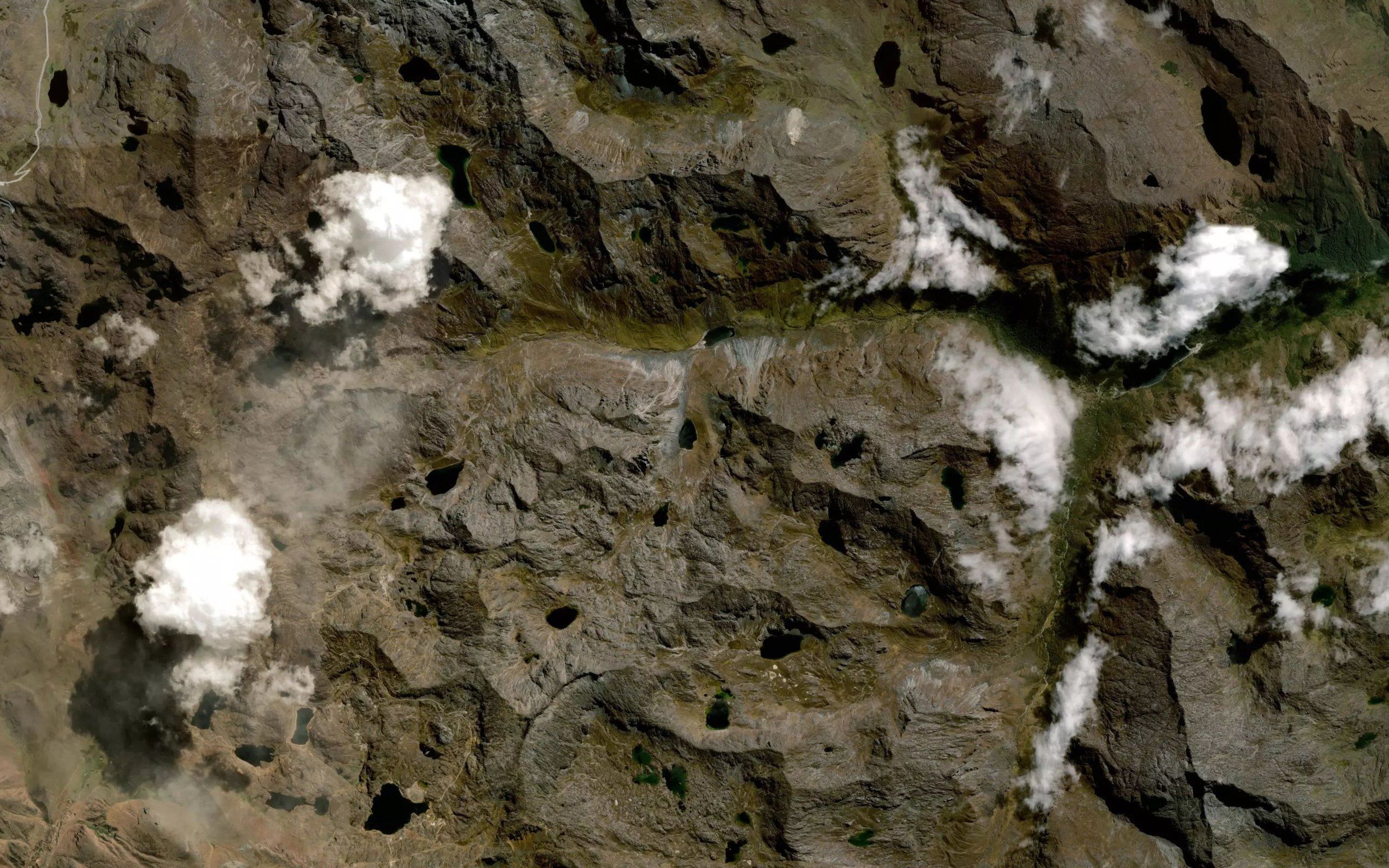 Laguna Carrizal